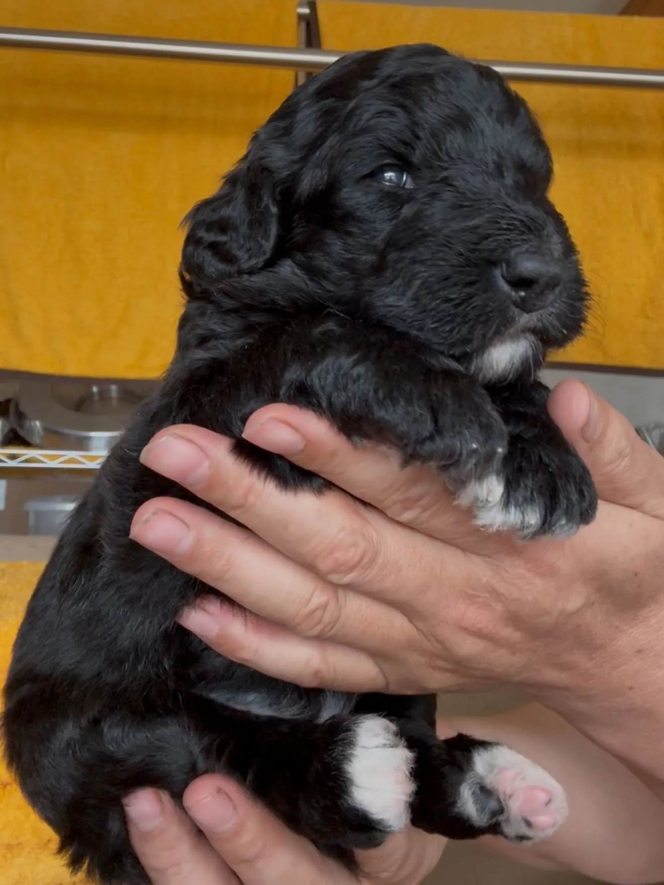 🏠ご家族様を募集致します。