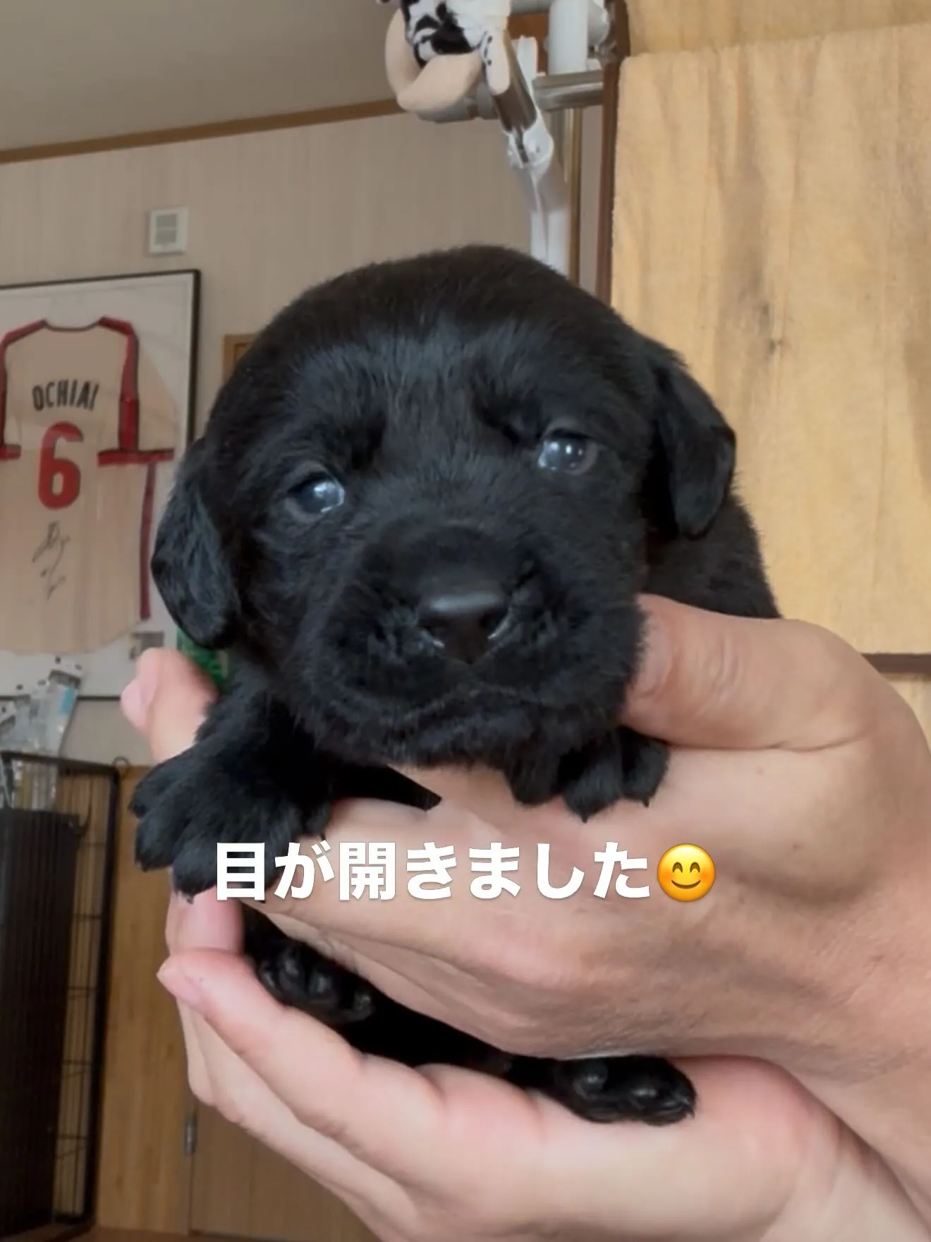 おはようございます🐶😊