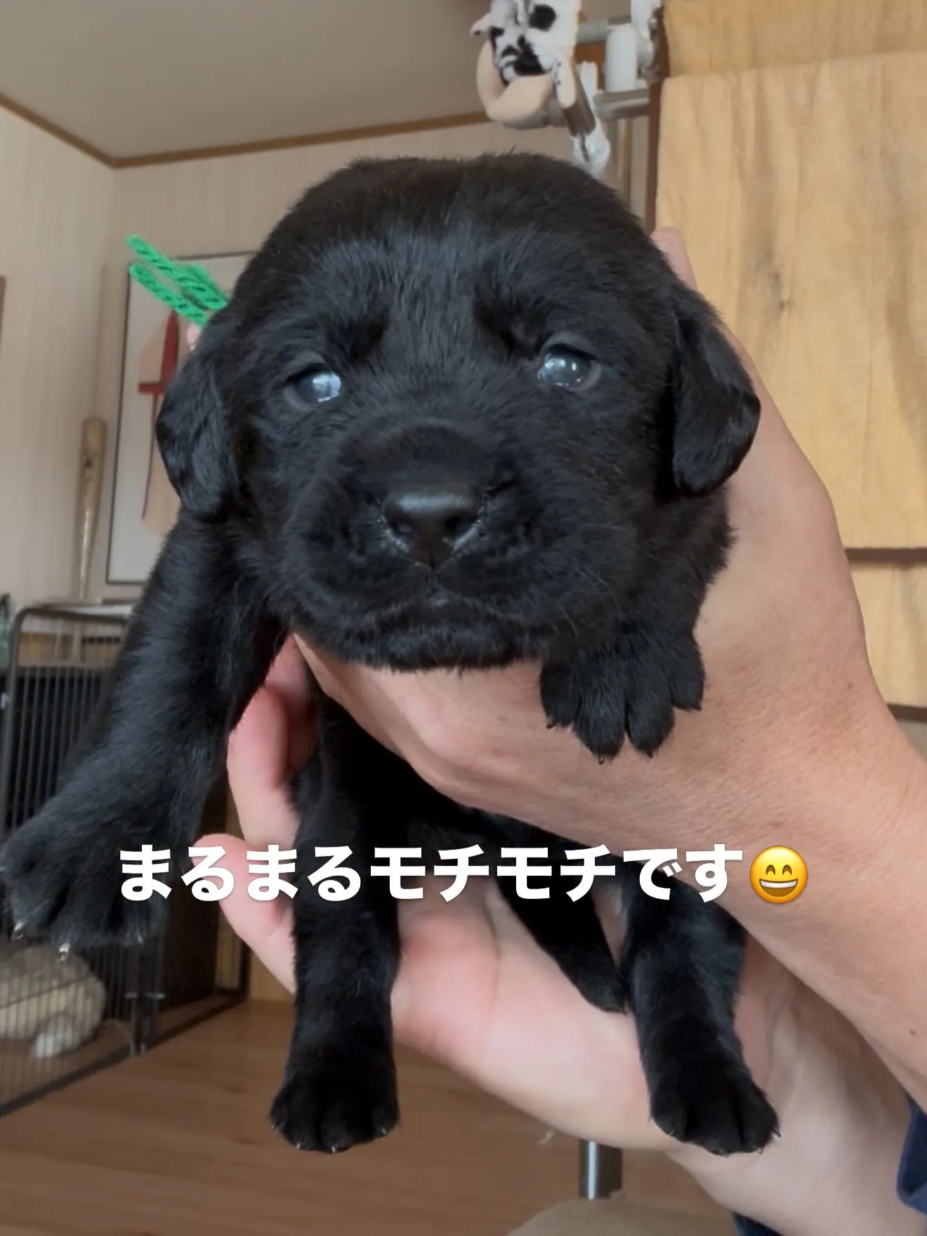 おはようございます🐶😊