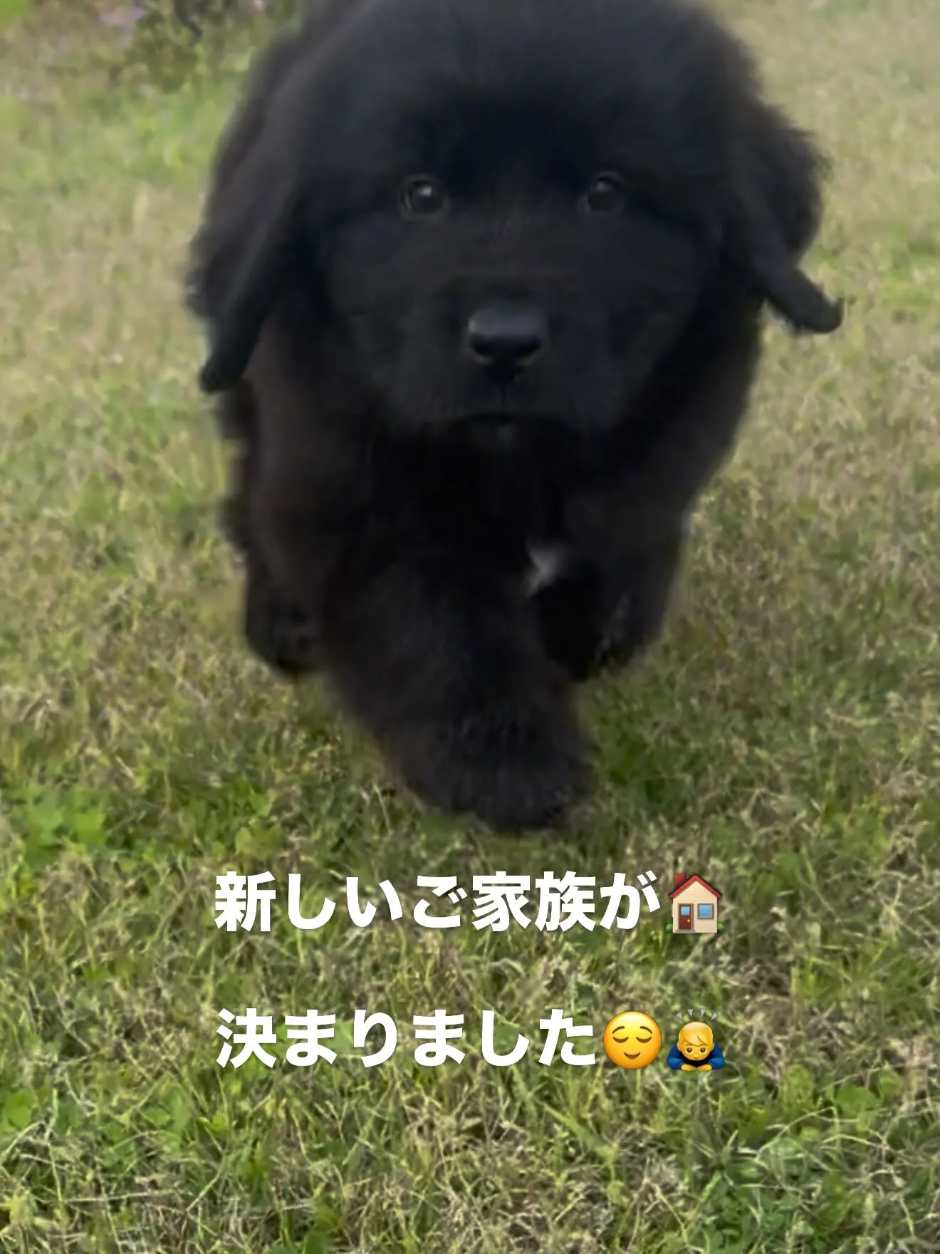 沢山のお問い合わせ、コメントありがとうございました🙇♂️