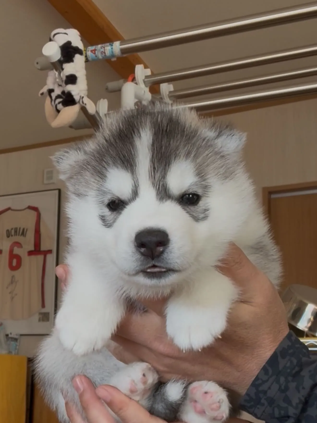 沢山のお問い合わせ、コメントありがとうございました🙇♂️