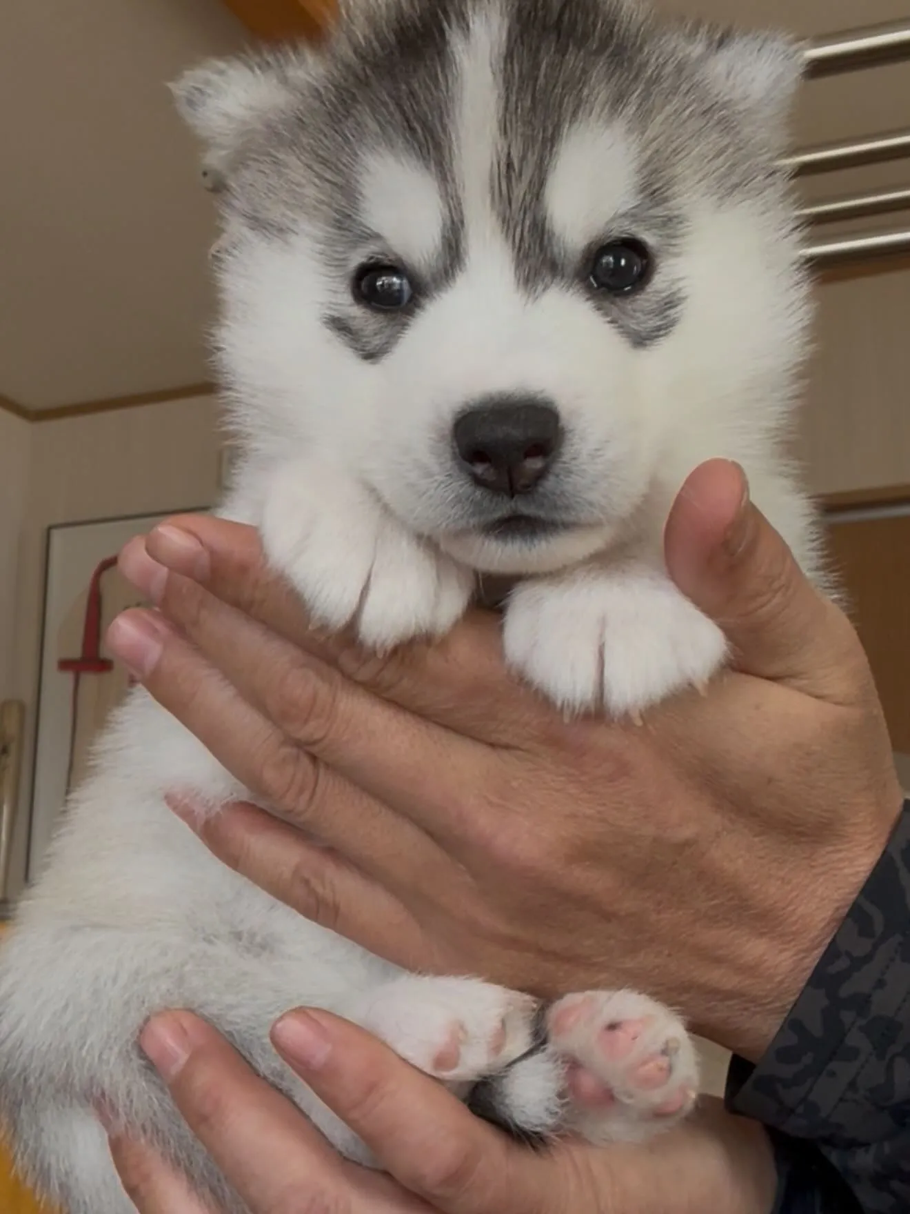 沢山のお問い合わせ、コメントありがとうございました🙇♂️