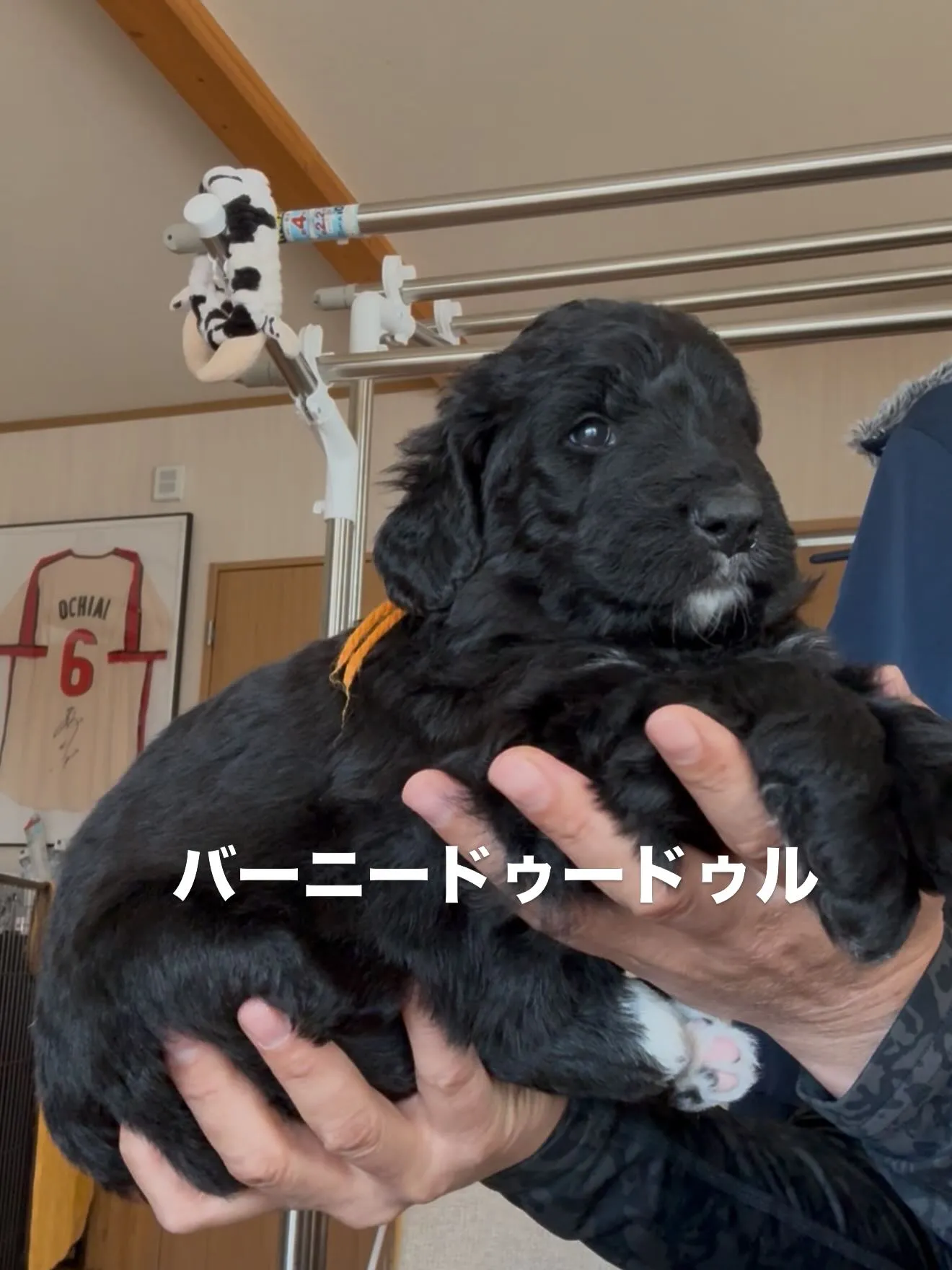 沢山のお問い合わせ、コメントありがとうございました🙇♂️