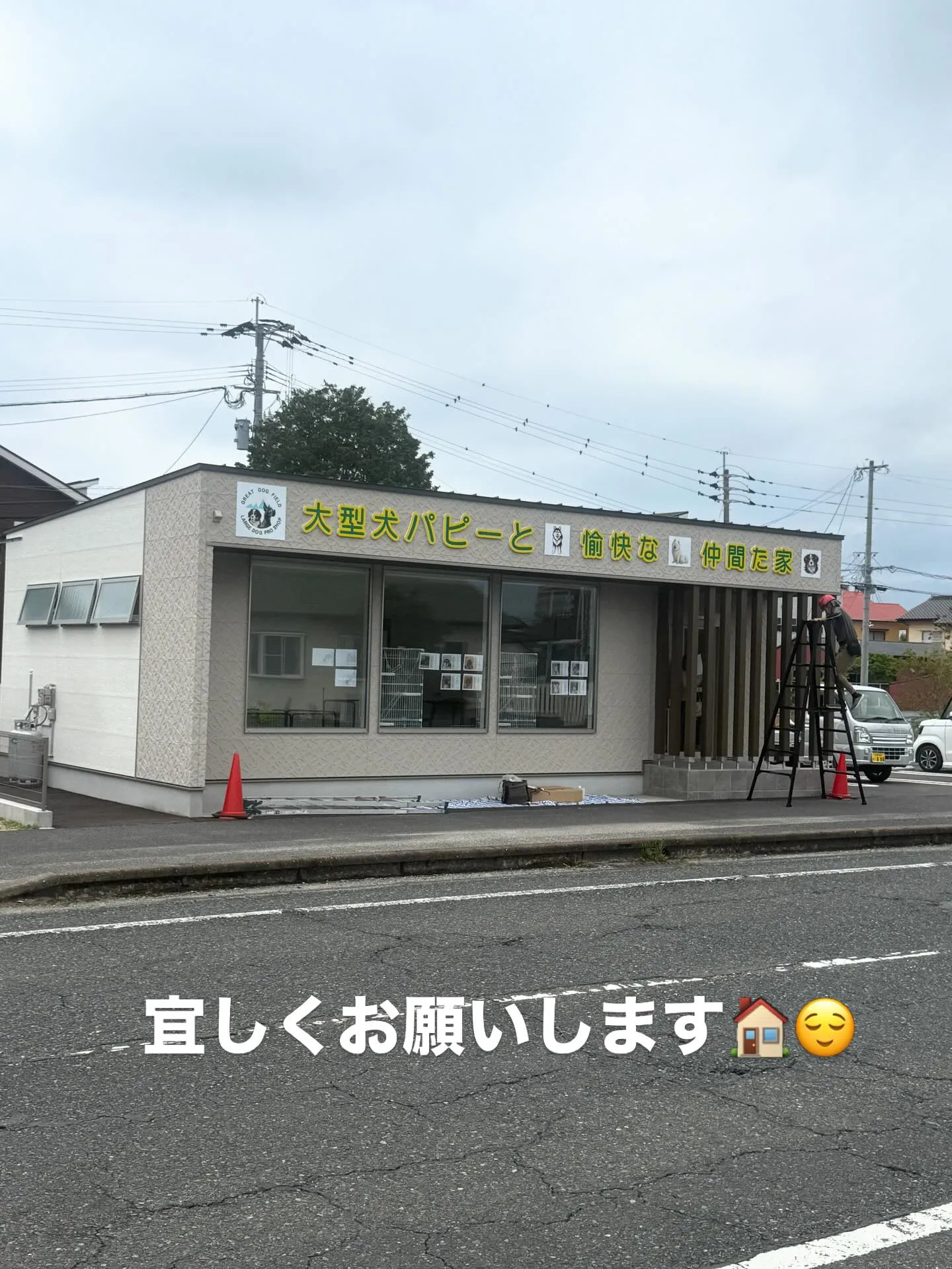 沢山の仲間たちがやって参りました🐶🐈
