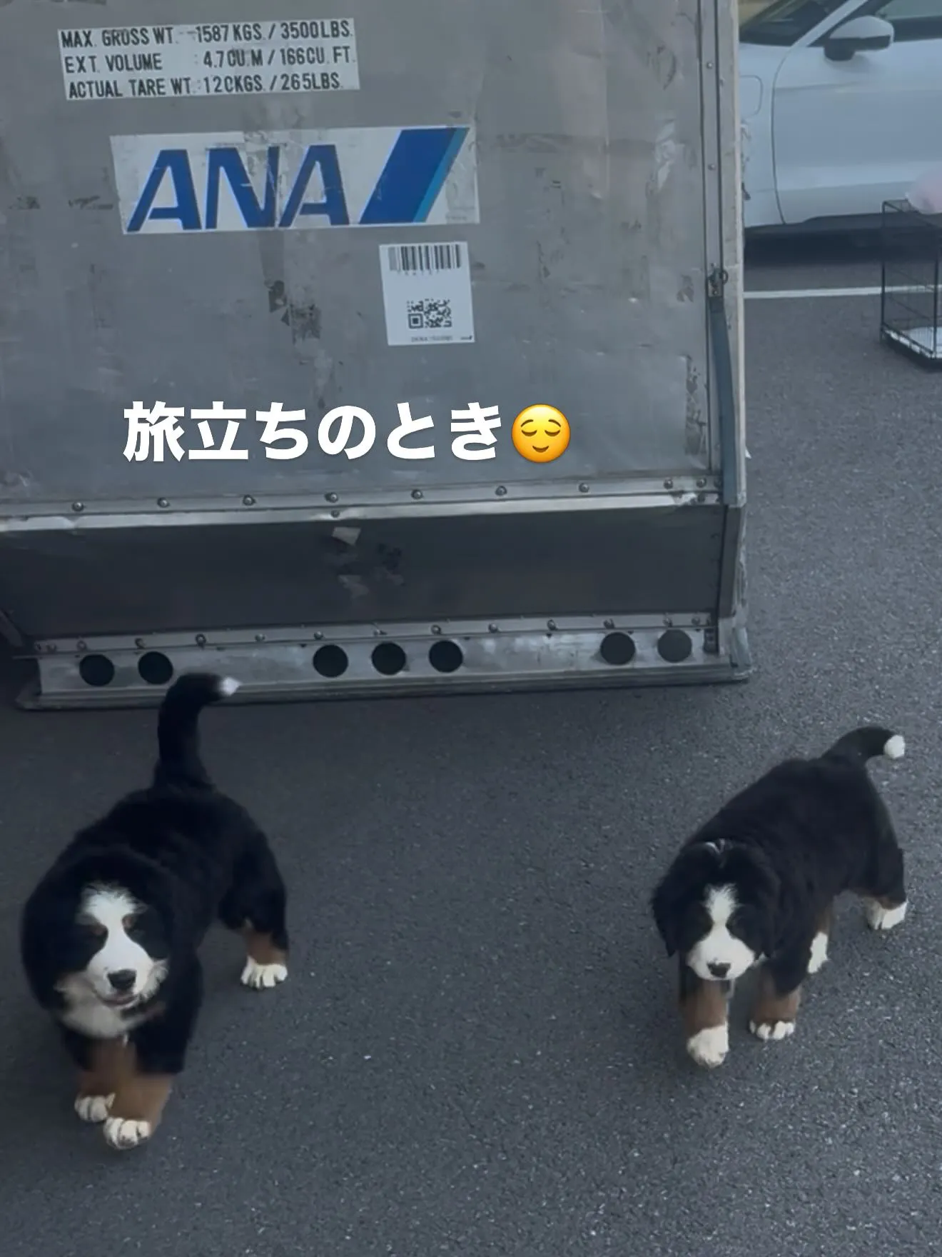 幸せになってね😌🏠