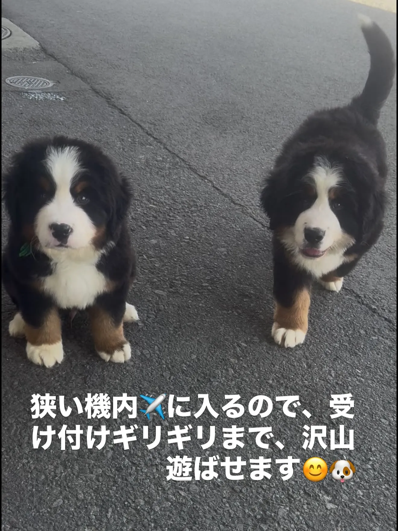 幸せになってね😌🏠