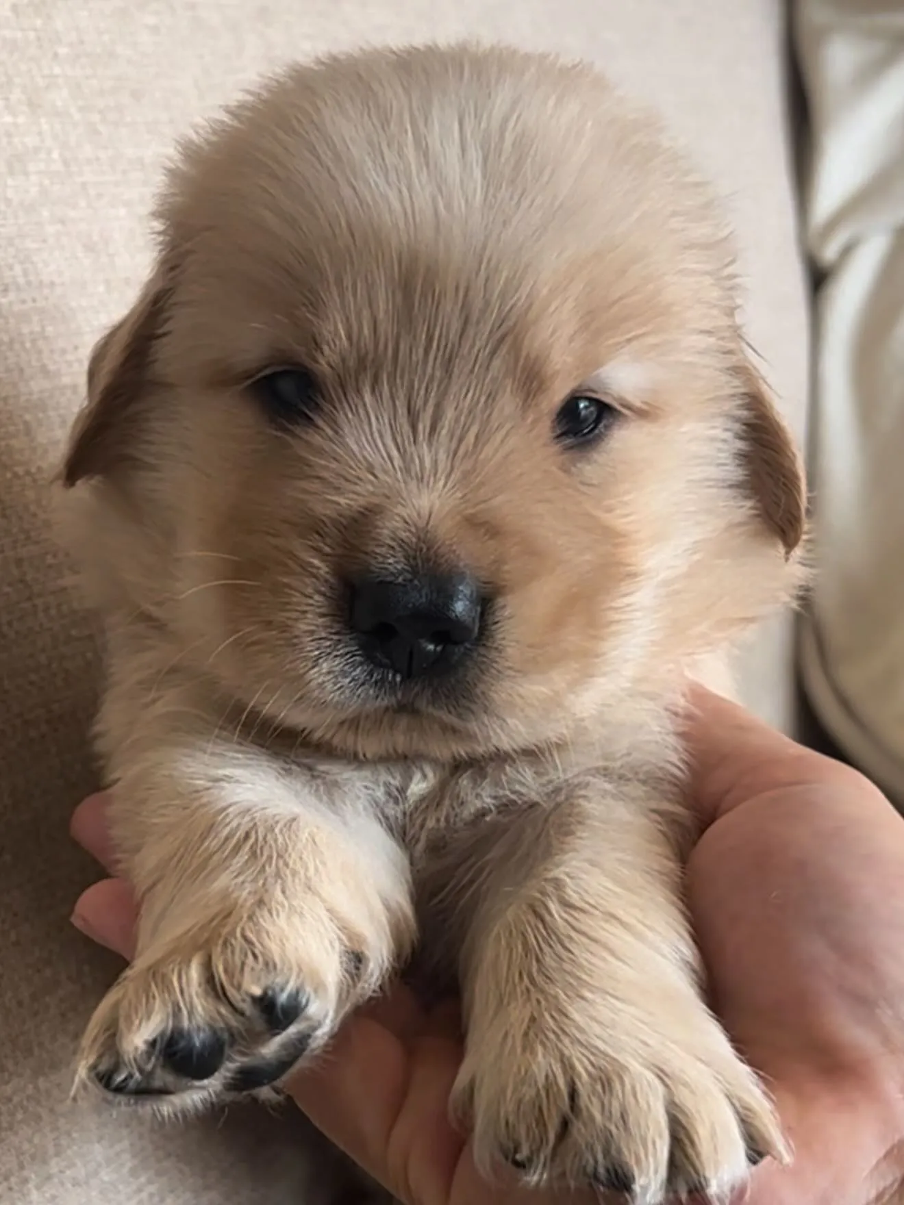 今日も、穏やかに、ゆっくりと時間が流れております🐶😌