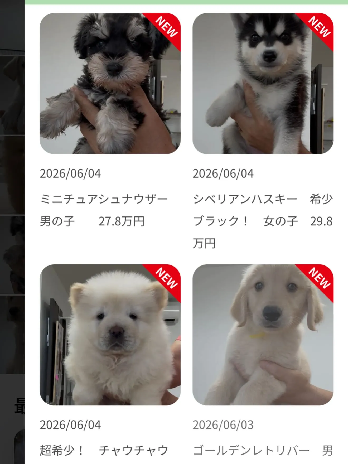 素晴らしい仲間たちがやって来ました😌🐶