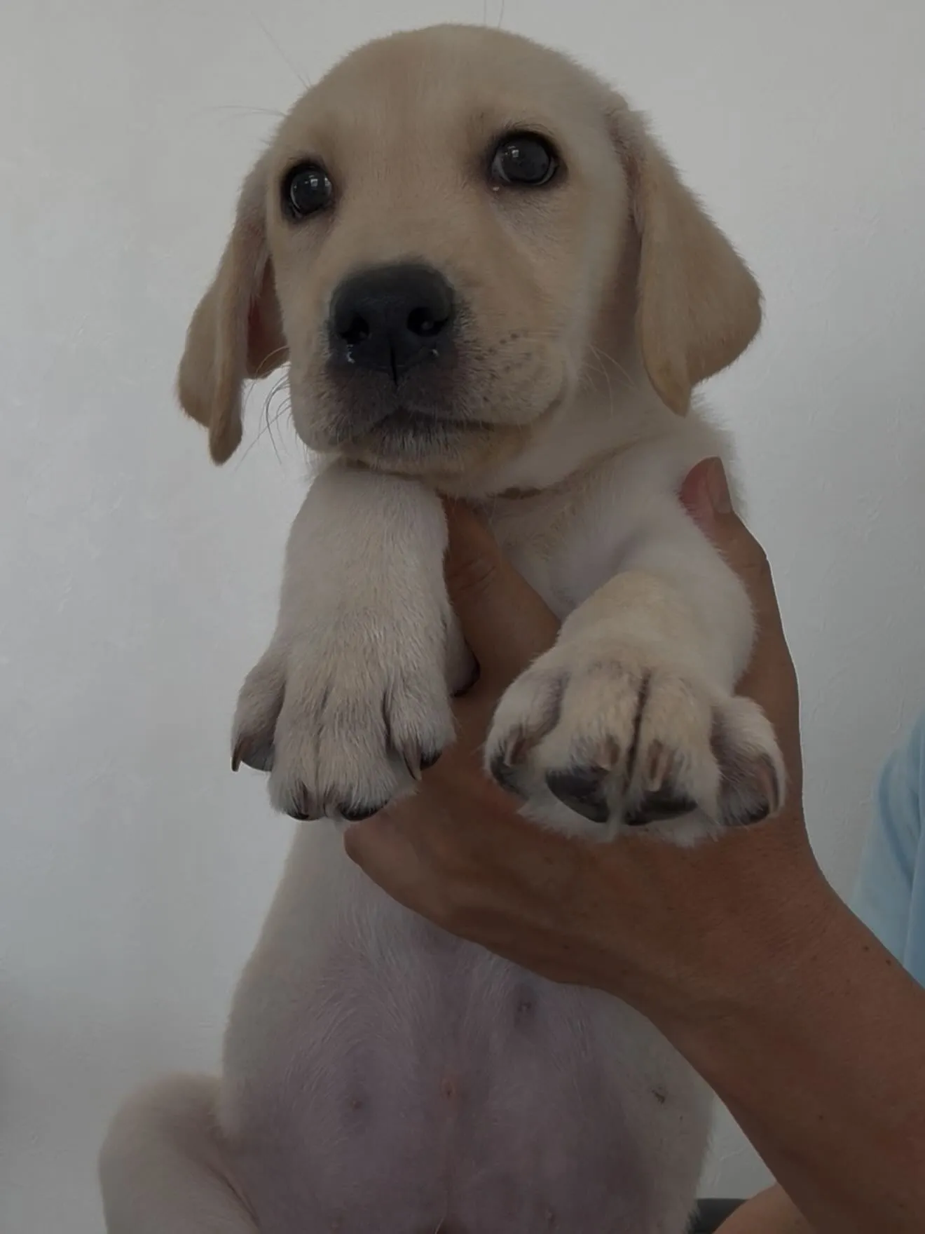 立派に成長しております😌🐶