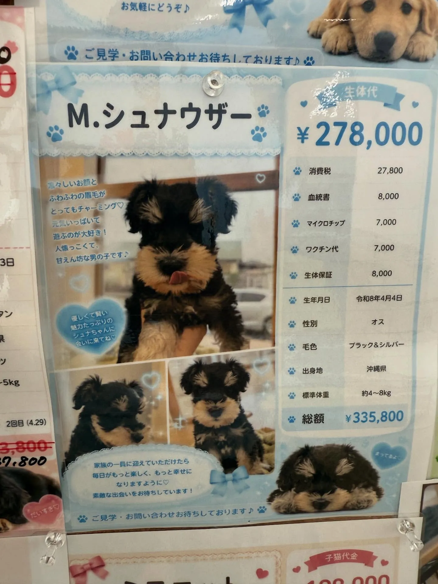 立派に成長しております😌🐶