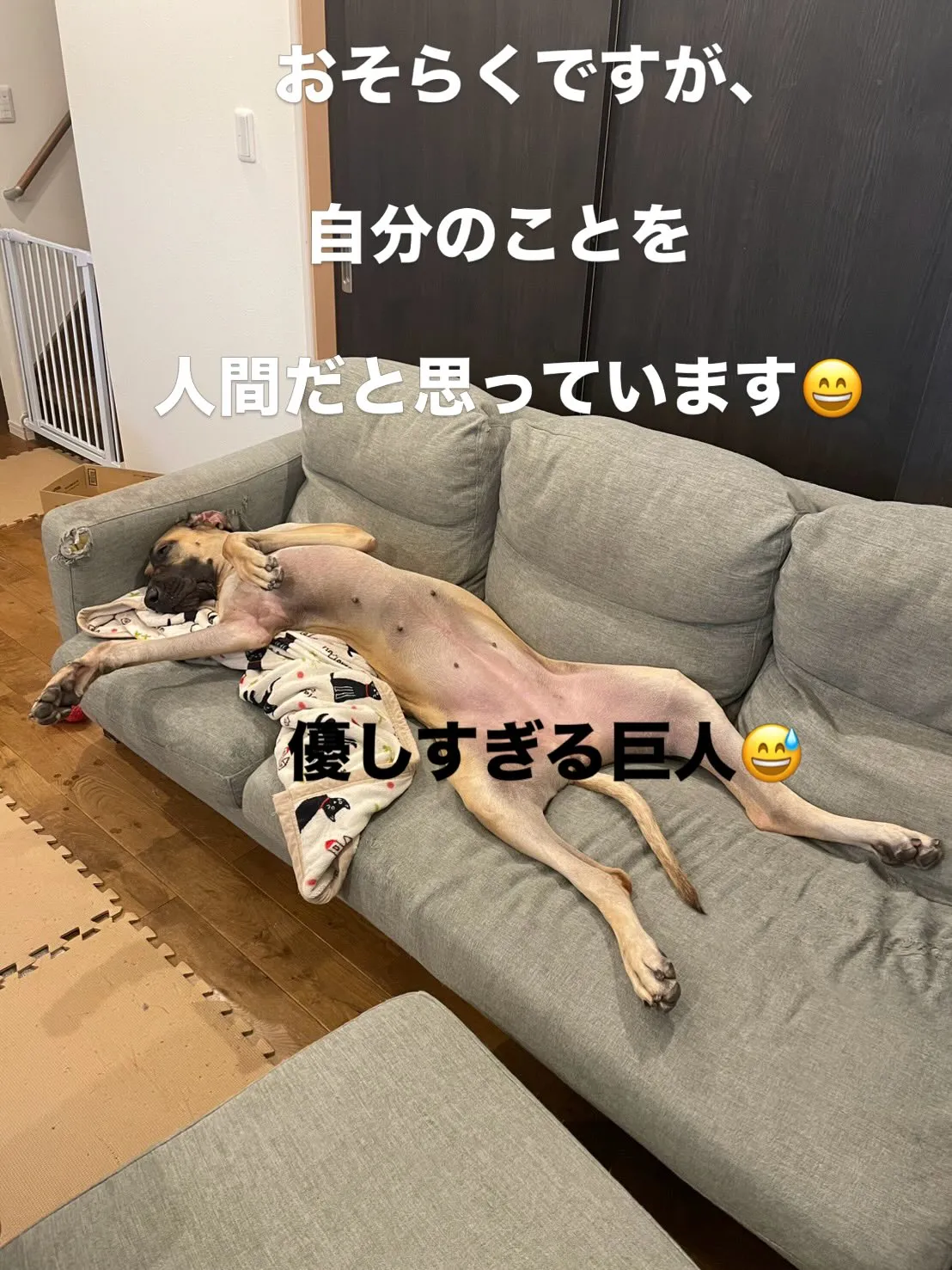 午前のひととき😄🐶