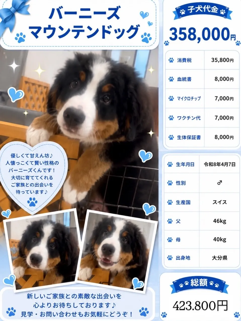 グレートドッグフィールドの跡取りさんを募集します。