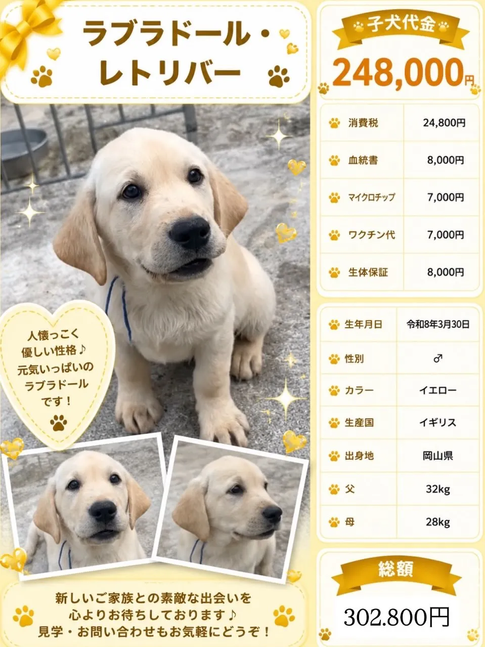 グレートドッグフィールドの跡取りさんを募集します。