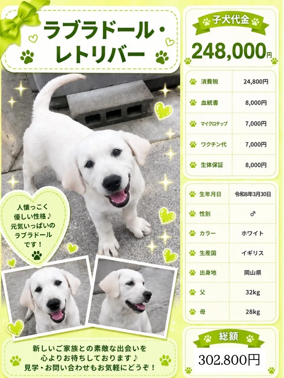 グレートドッグフィールドの跡取りさんを募集します。