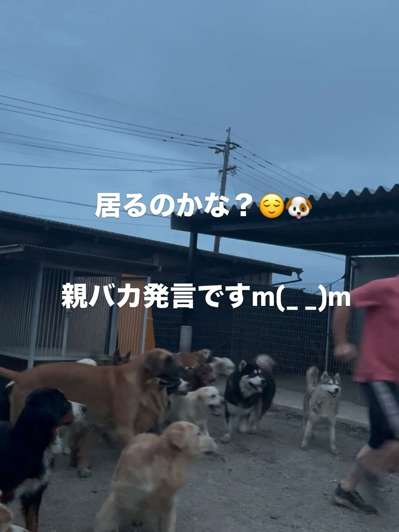 毎日、そう思います😄
