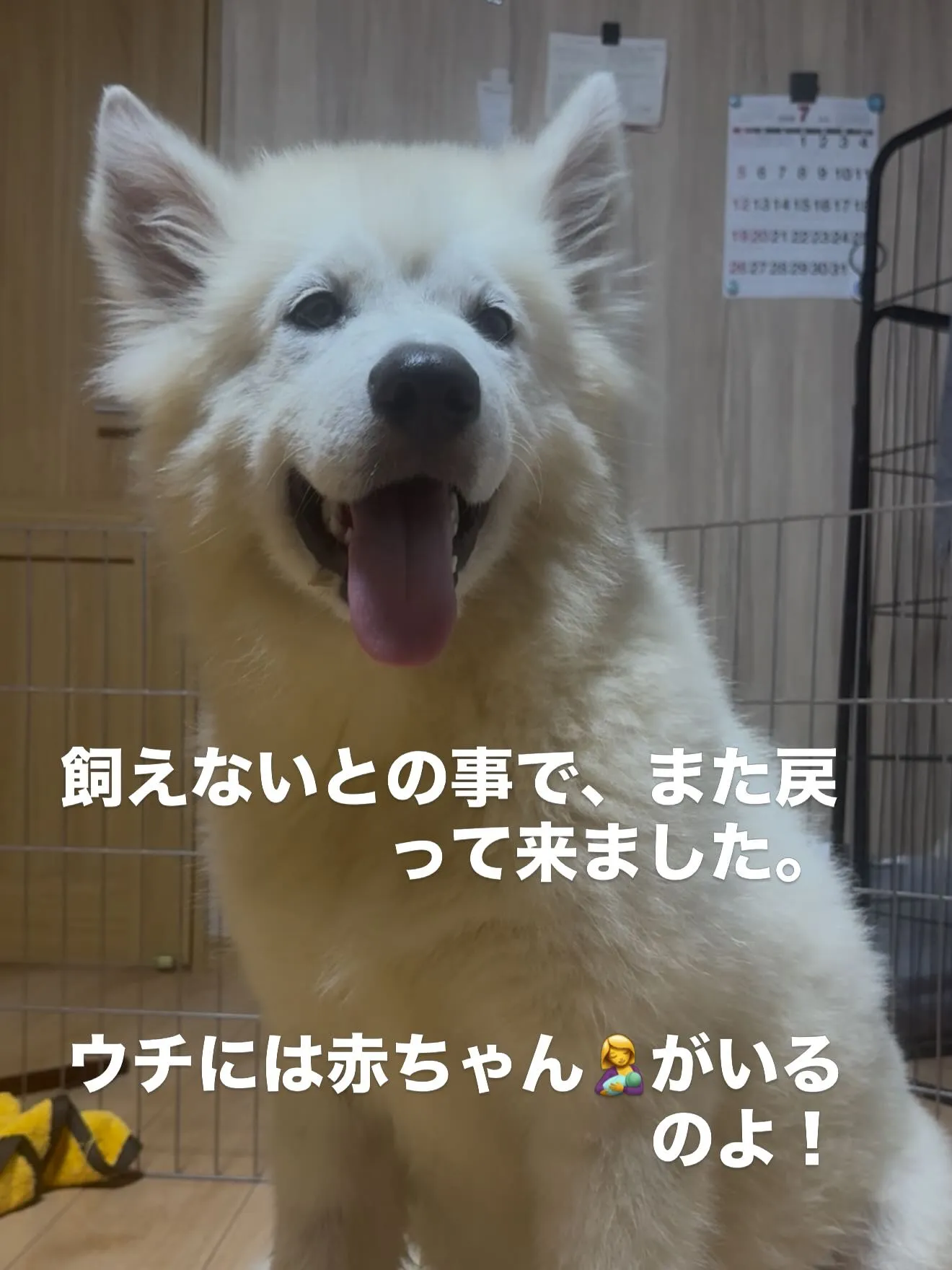 私達は、圧倒的な弱者です。