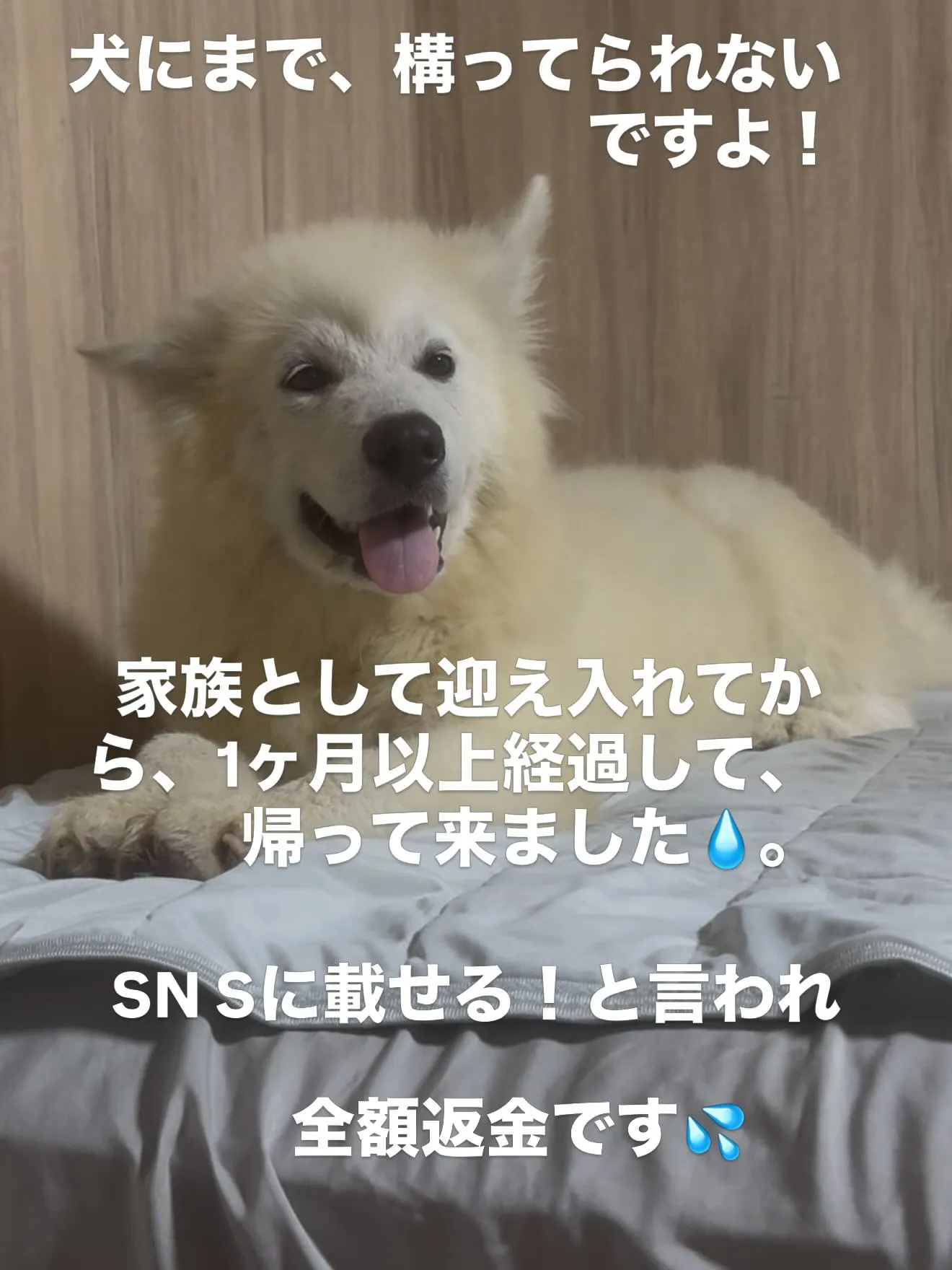 私達は、圧倒的な弱者です。