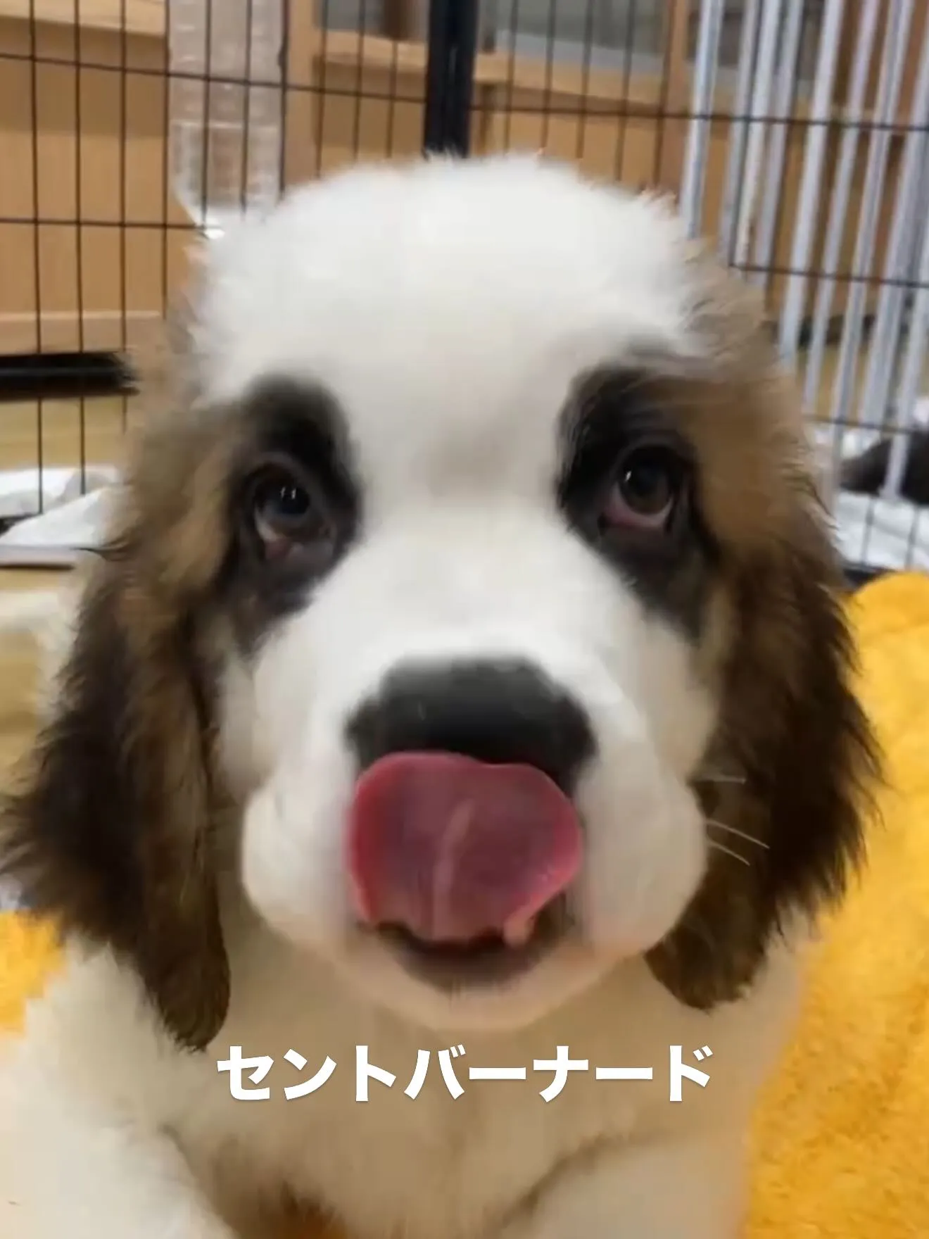 今日も暑い中、お疲れ様でした😌🙇‍♂️