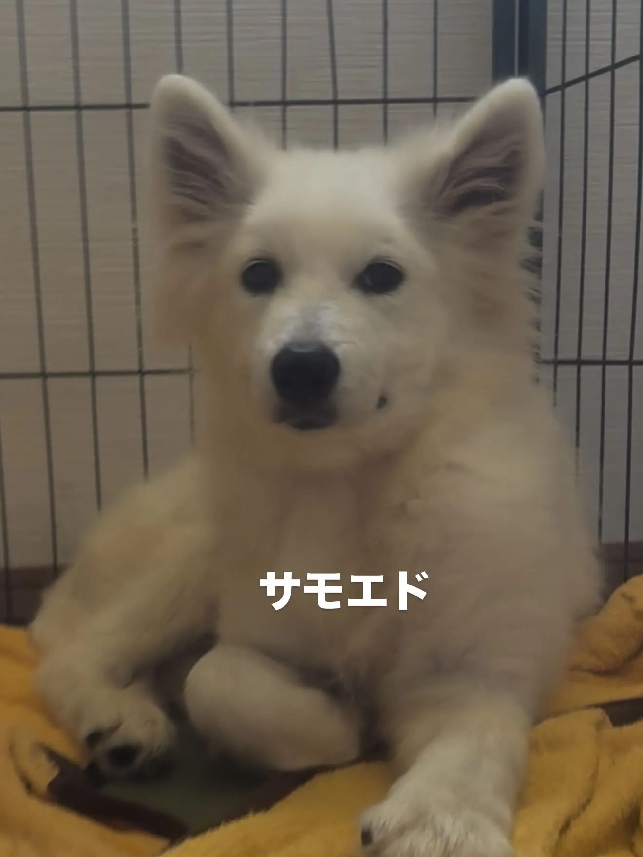 今日も暑い中、お疲れ様でした😌🙇‍♂️
