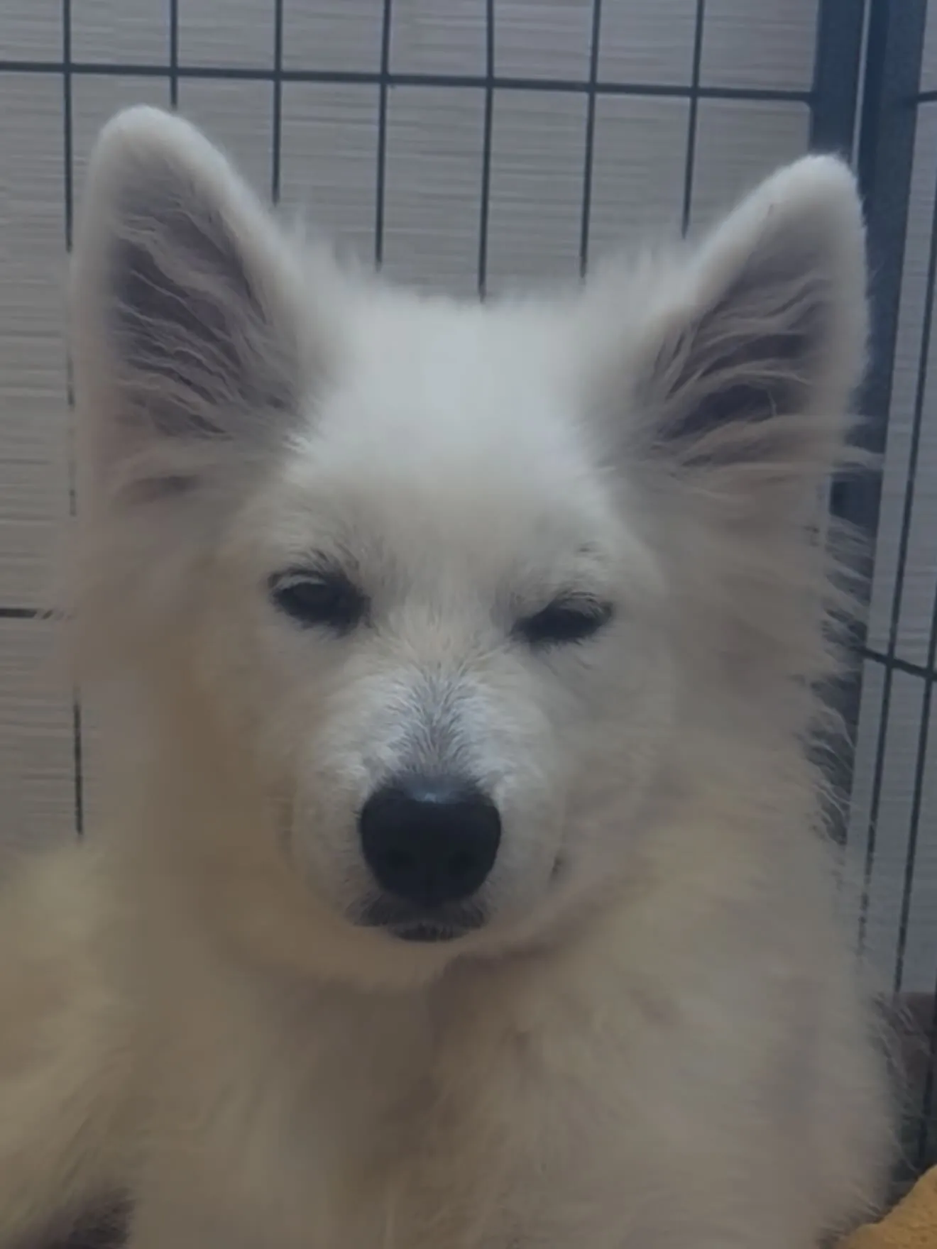 今日も暑い中、お疲れ様でした😌🙇‍♂️