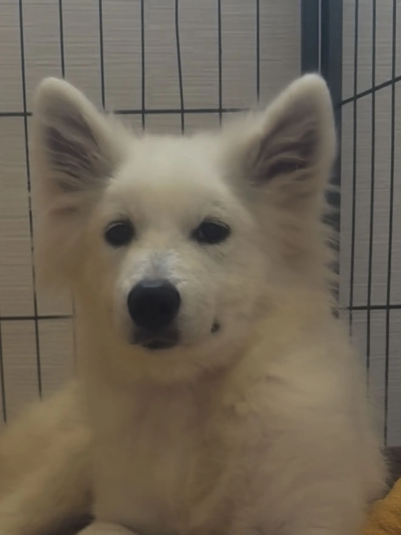 今日も暑い中、お疲れ様でした😌🙇‍♂️