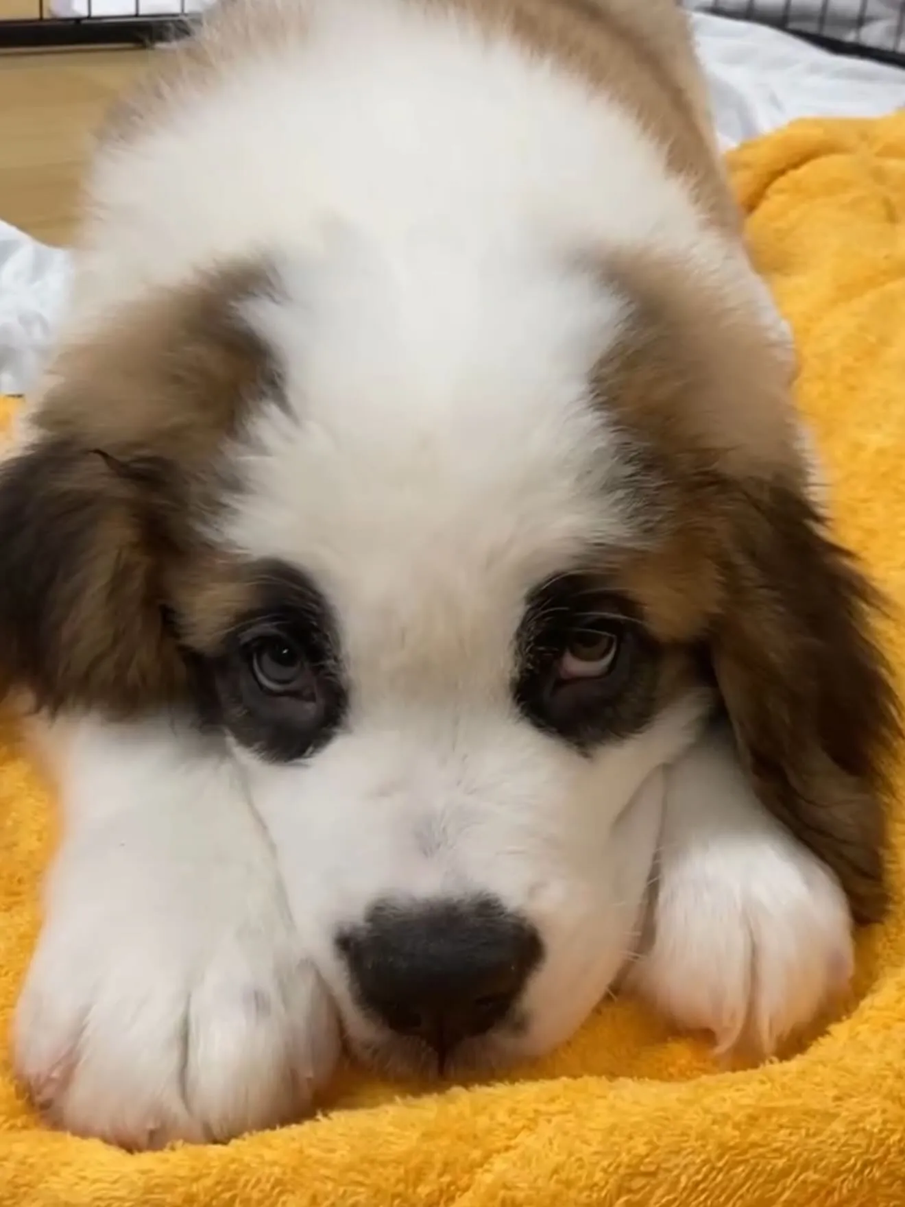 今日も暑い中、お疲れ様でした😌🙇‍♂️