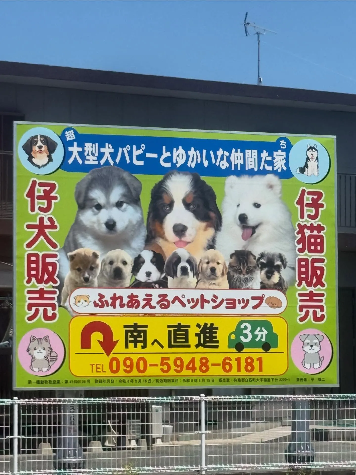 看板、設置完了しました🐶