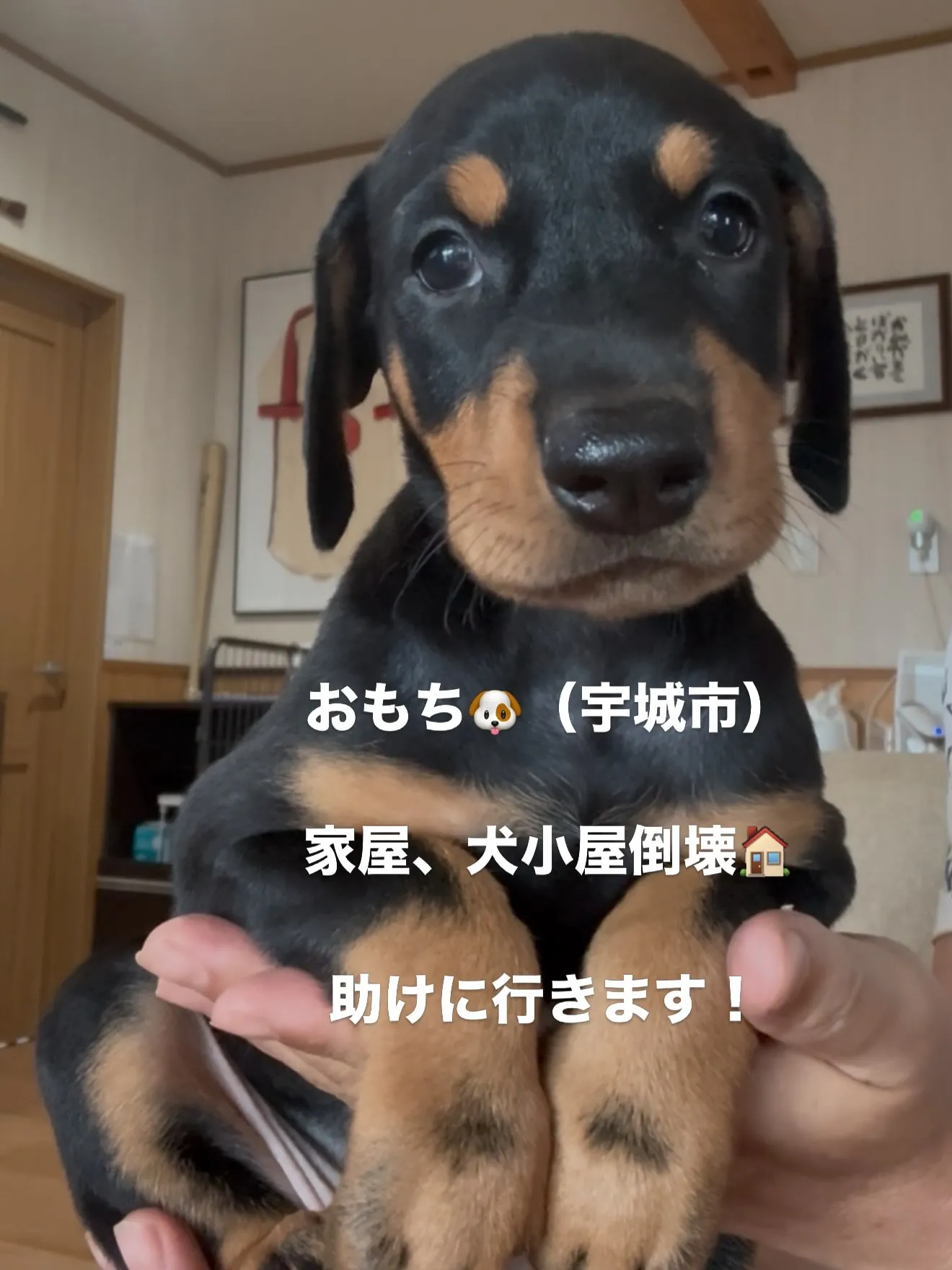 おはようございます。