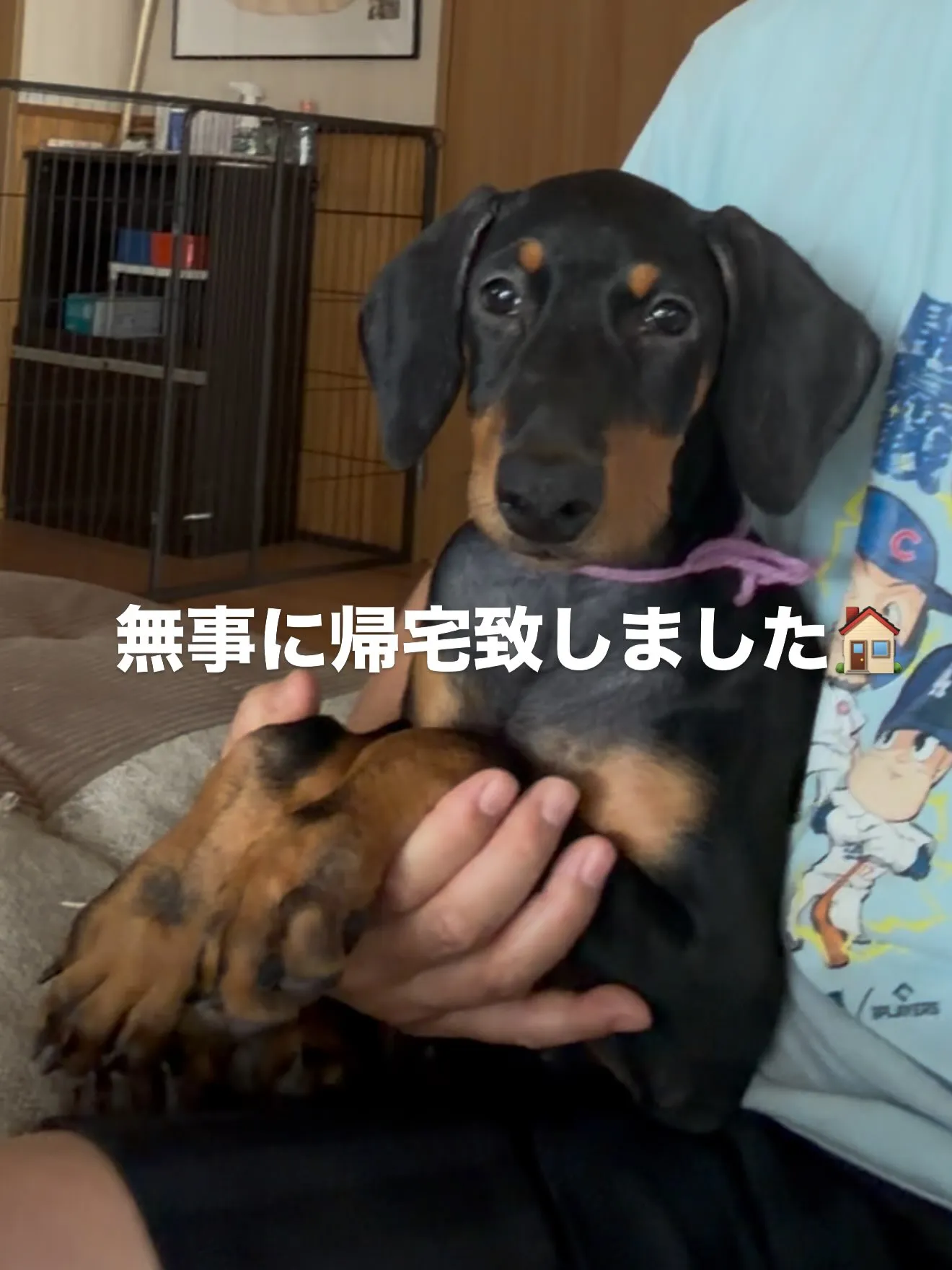 おはようございます。