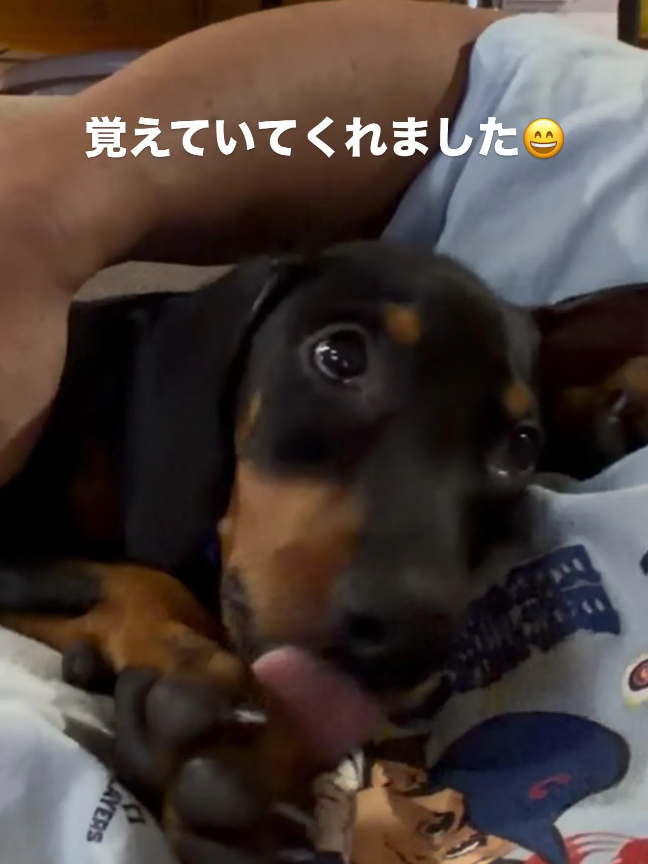 おはようございます。