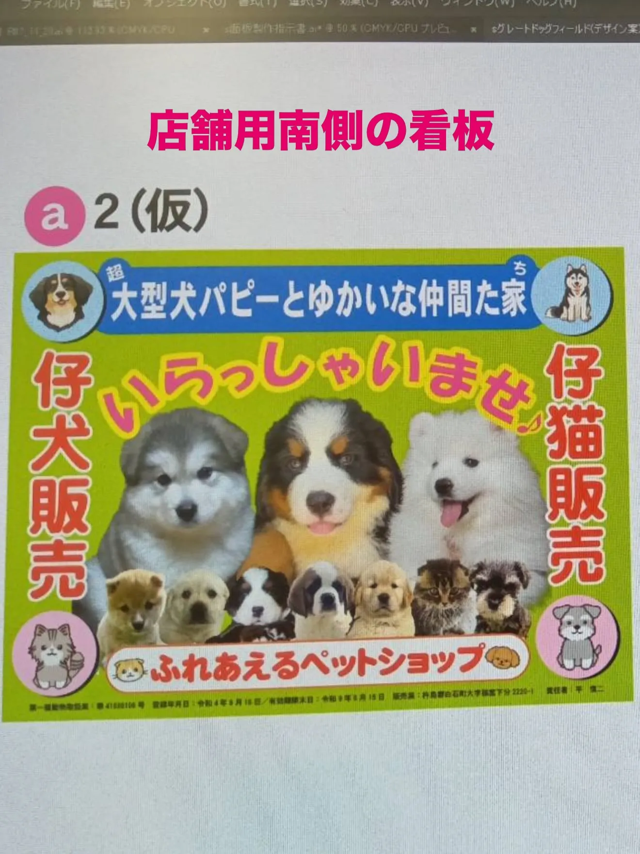 今日の、パピーのお家🏠🐶🐱