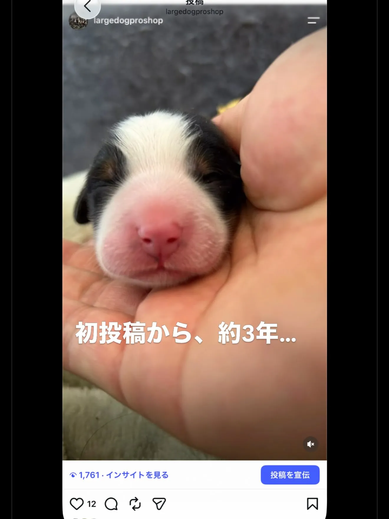 皆様のお陰で、20,000人の方にフォローして頂ける様になり...