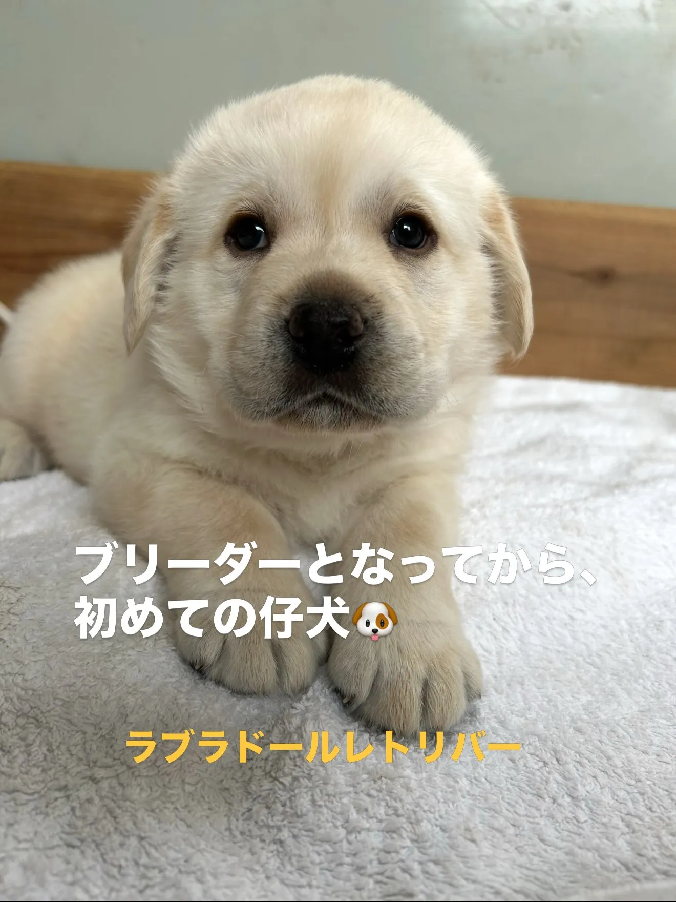 皆様のお陰で、20,000人の方にフォローして頂ける様になり...