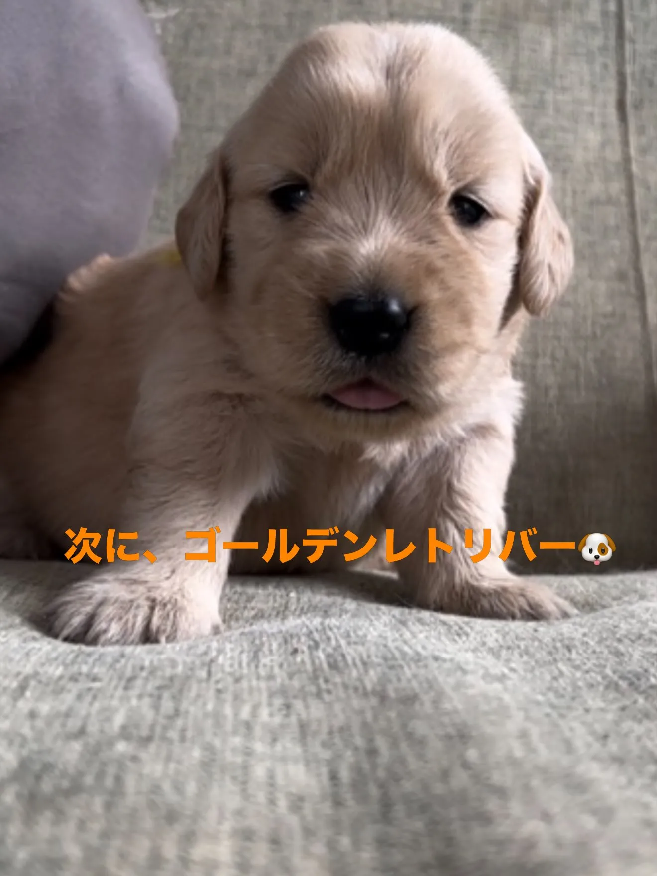 皆様のお陰で、20,000人の方にフォローして頂ける様になり...