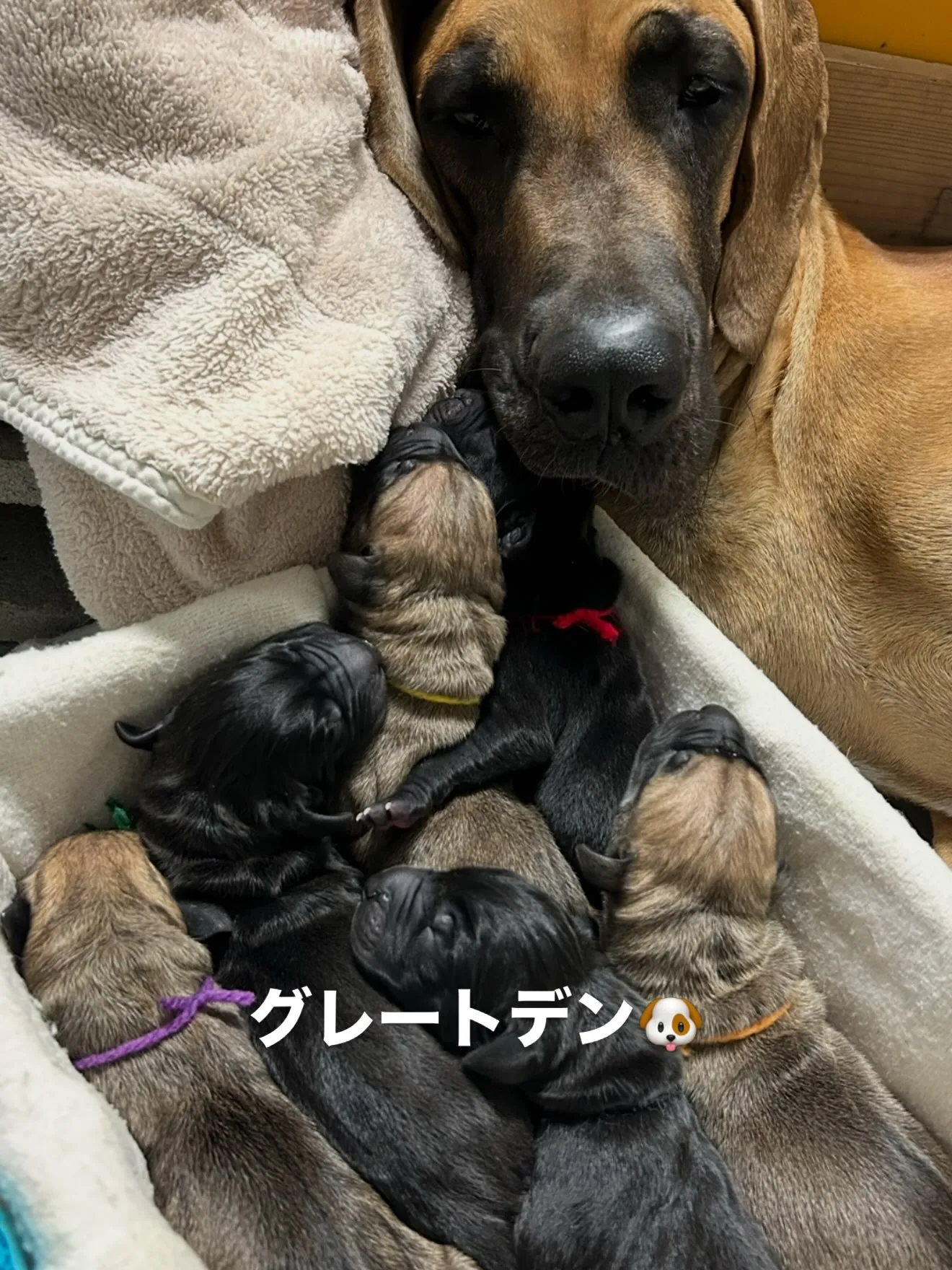 皆様のお陰で、20,000人の方にフォローして頂ける様になり...