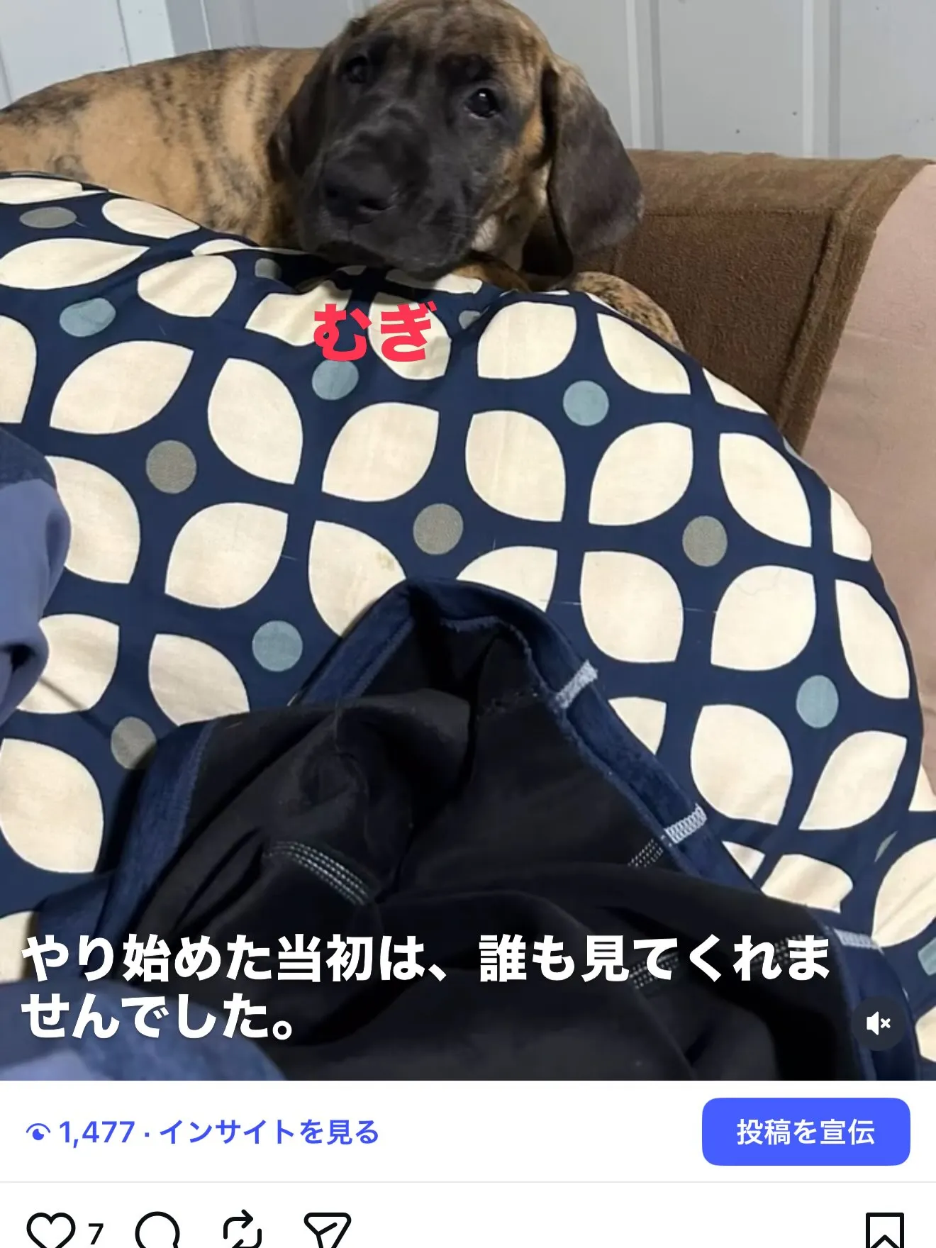 皆様のお陰で、20,000人の方にフォローして頂ける様になり...