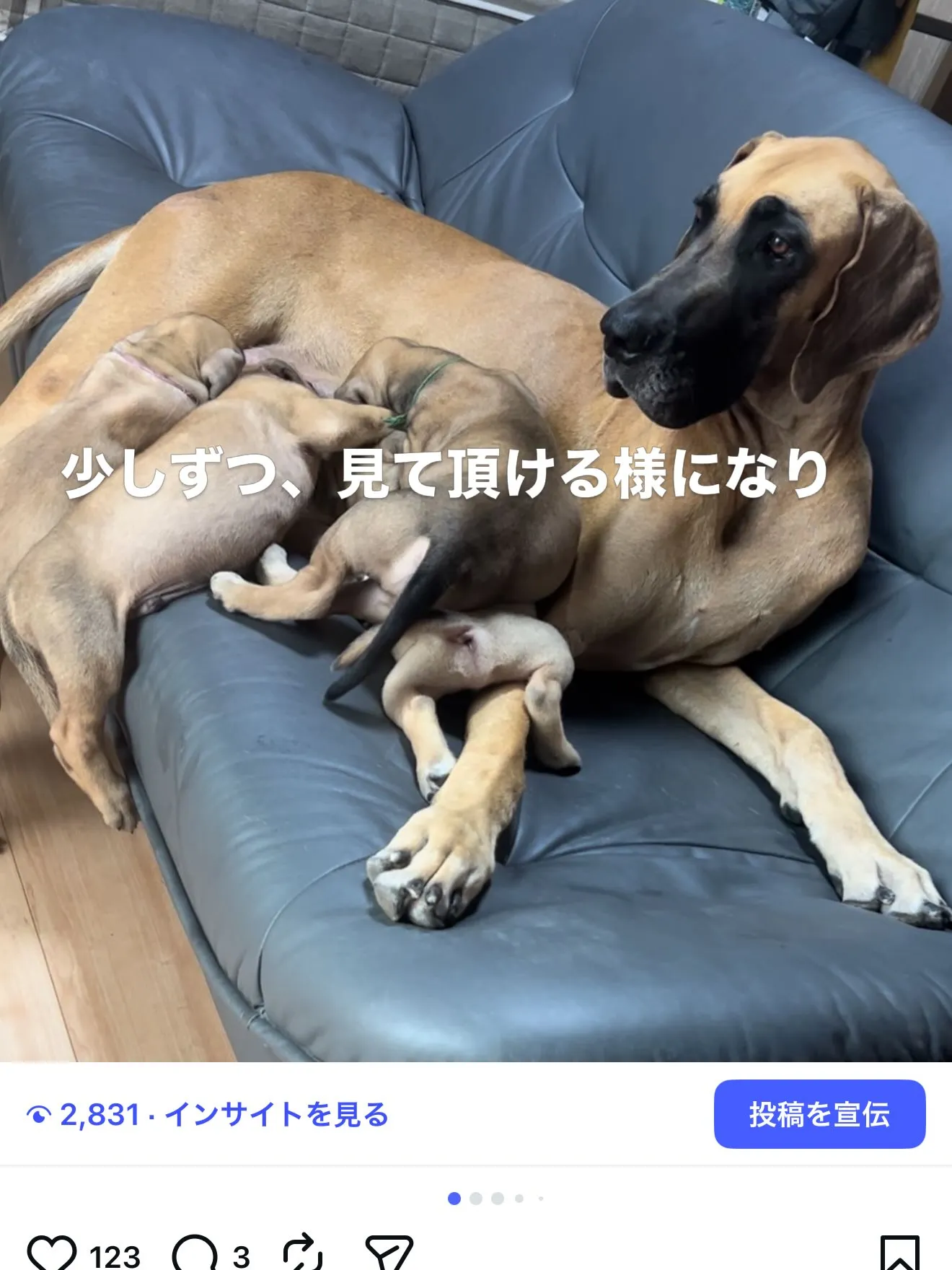皆様のお陰で、20,000人の方にフォローして頂ける様になり...