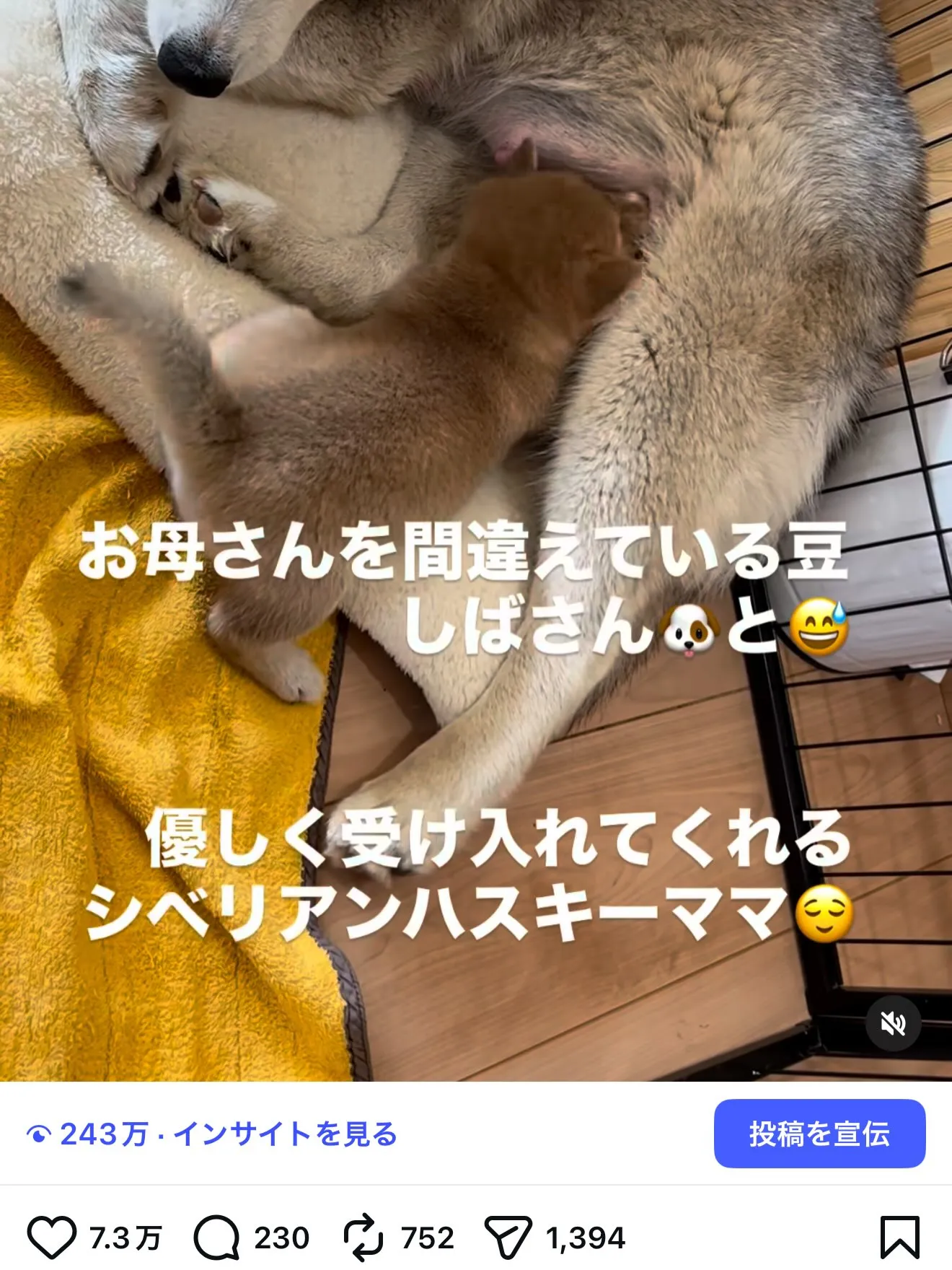 皆様のお陰で、20,000人の方にフォローして頂ける様になり...