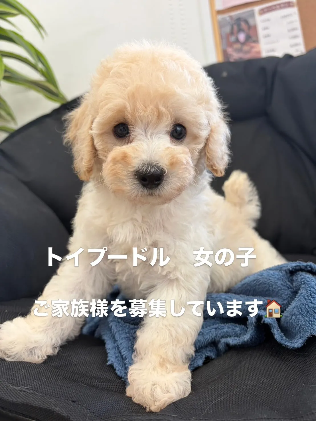 おはようございます🐶