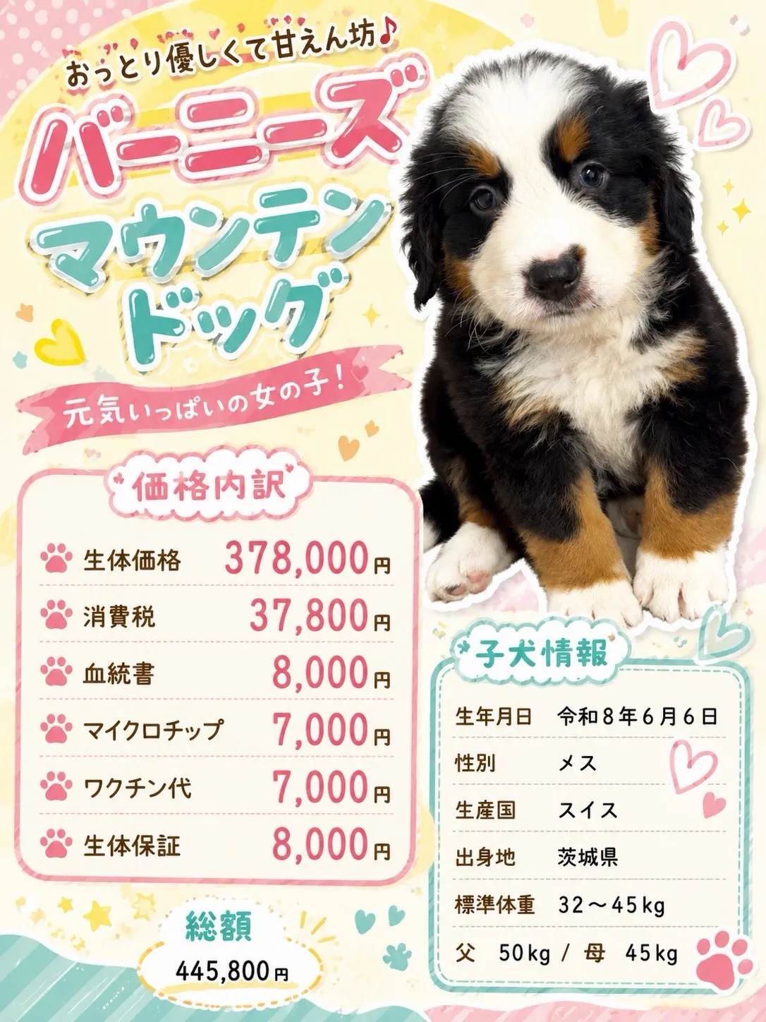 おはようございます🐶
