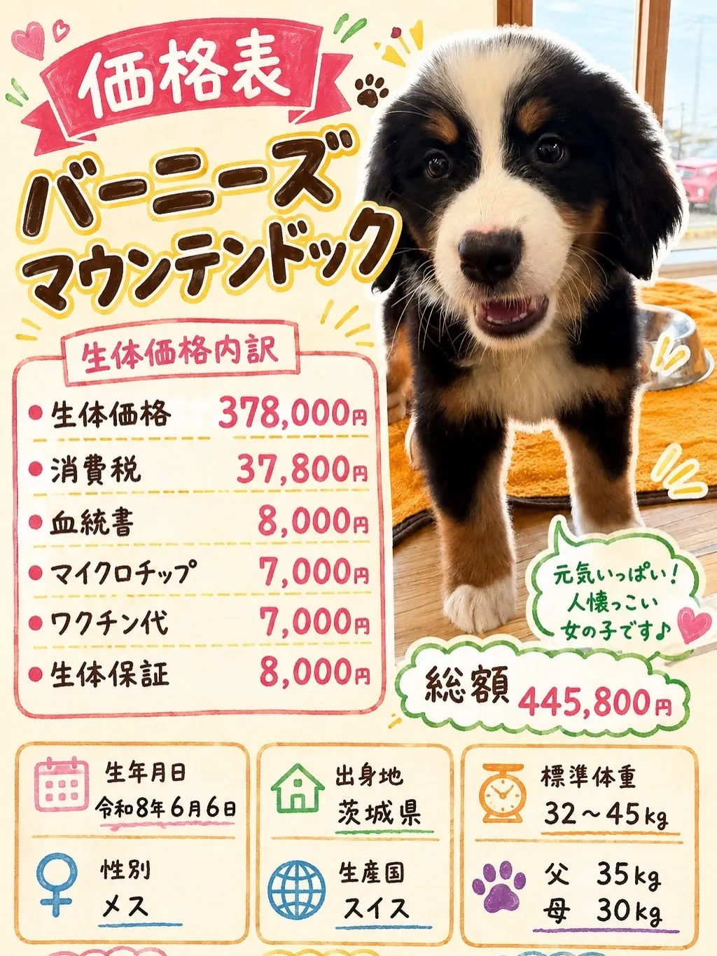 おはようございます🐶