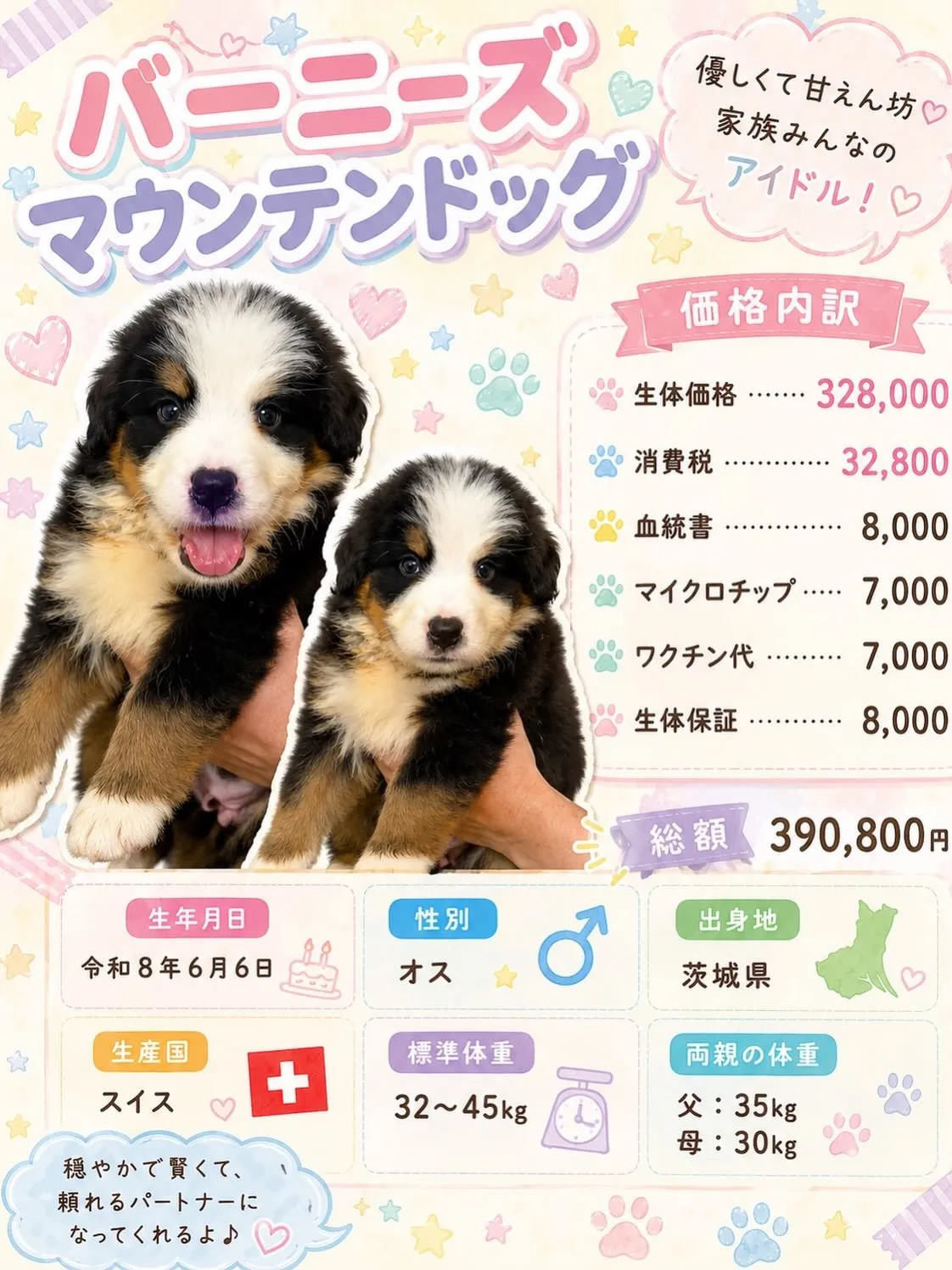 おはようございます🐶