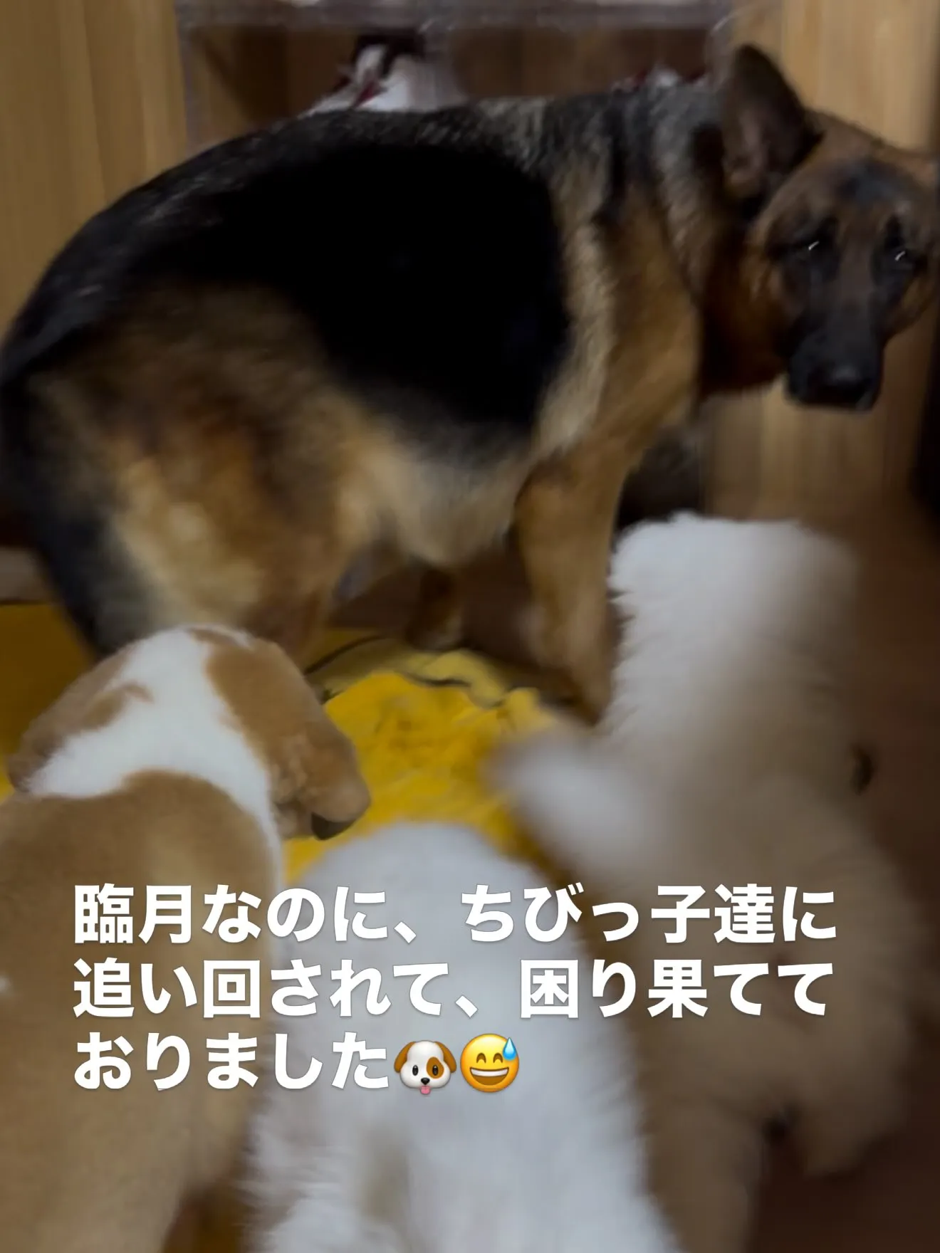 素晴らしい成長です！