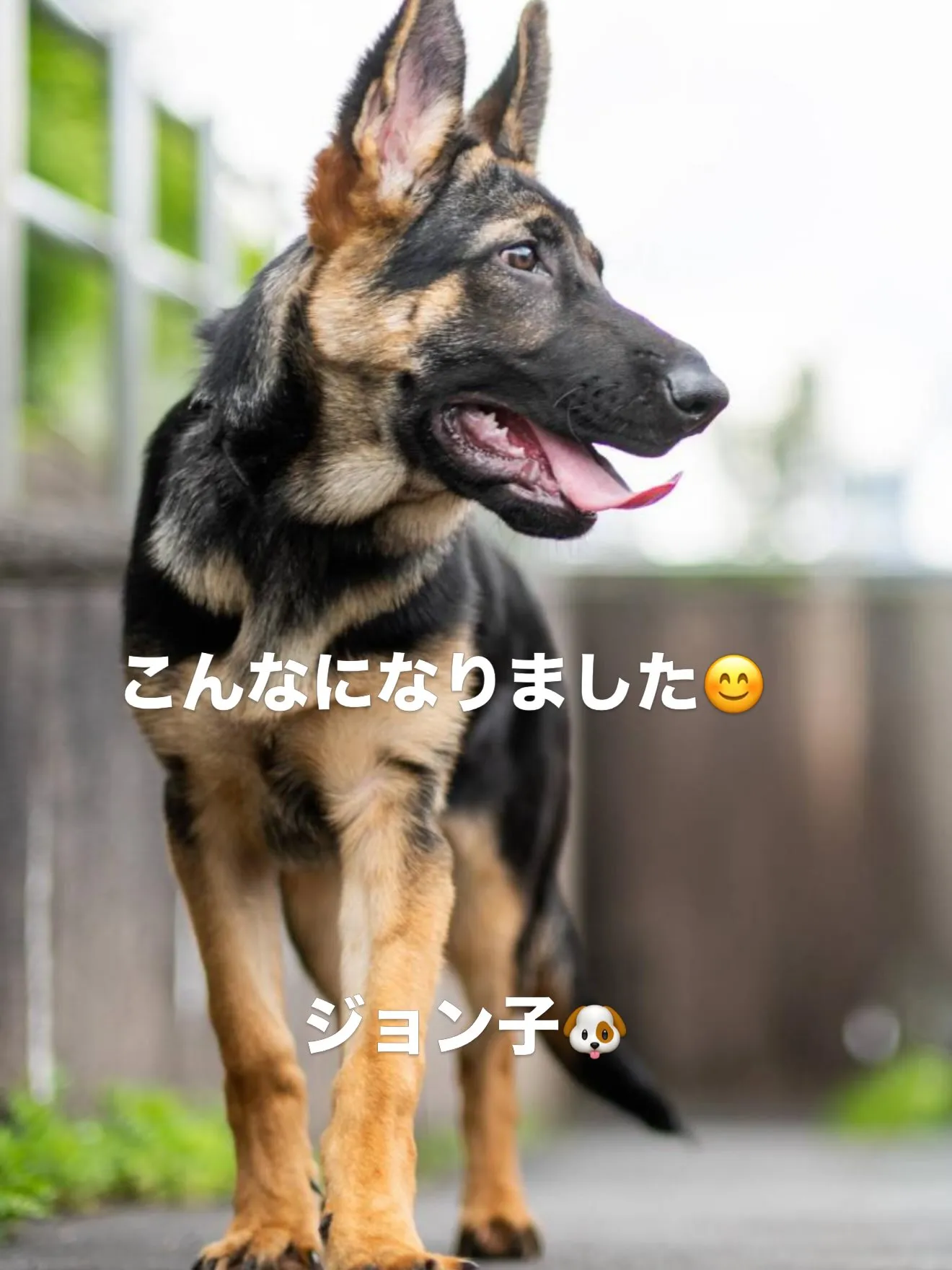 素晴らしい成長です！