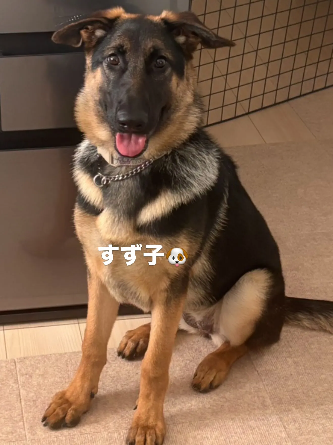 素晴らしい成長です！