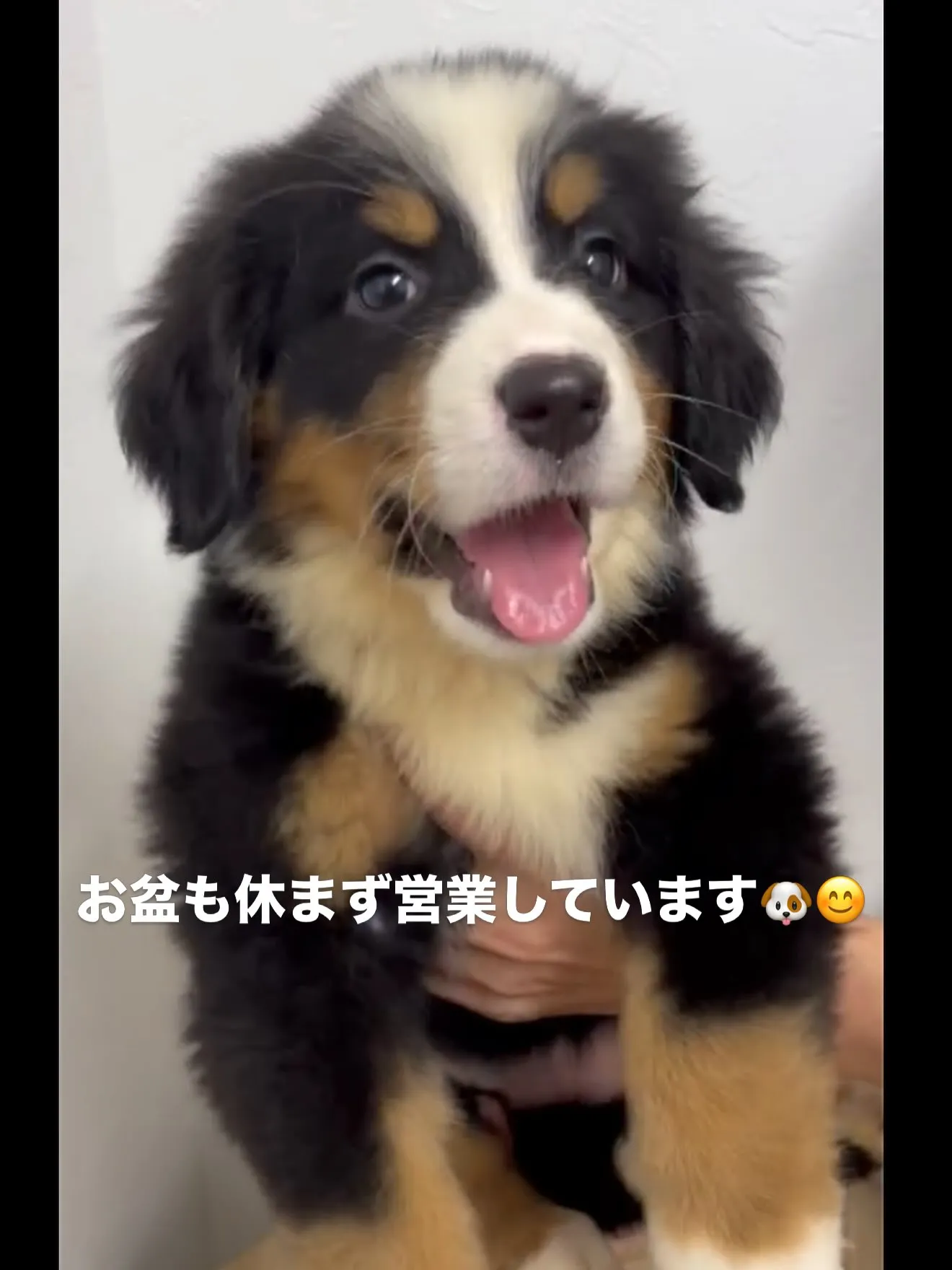 本日も一日、お疲れ様でした🌃⭐️