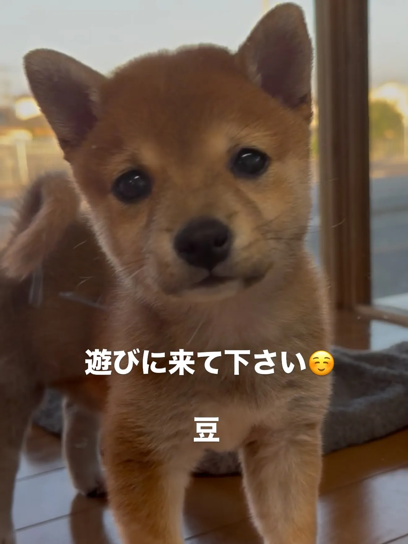 本日も一日、お疲れ様でした🌃⭐️