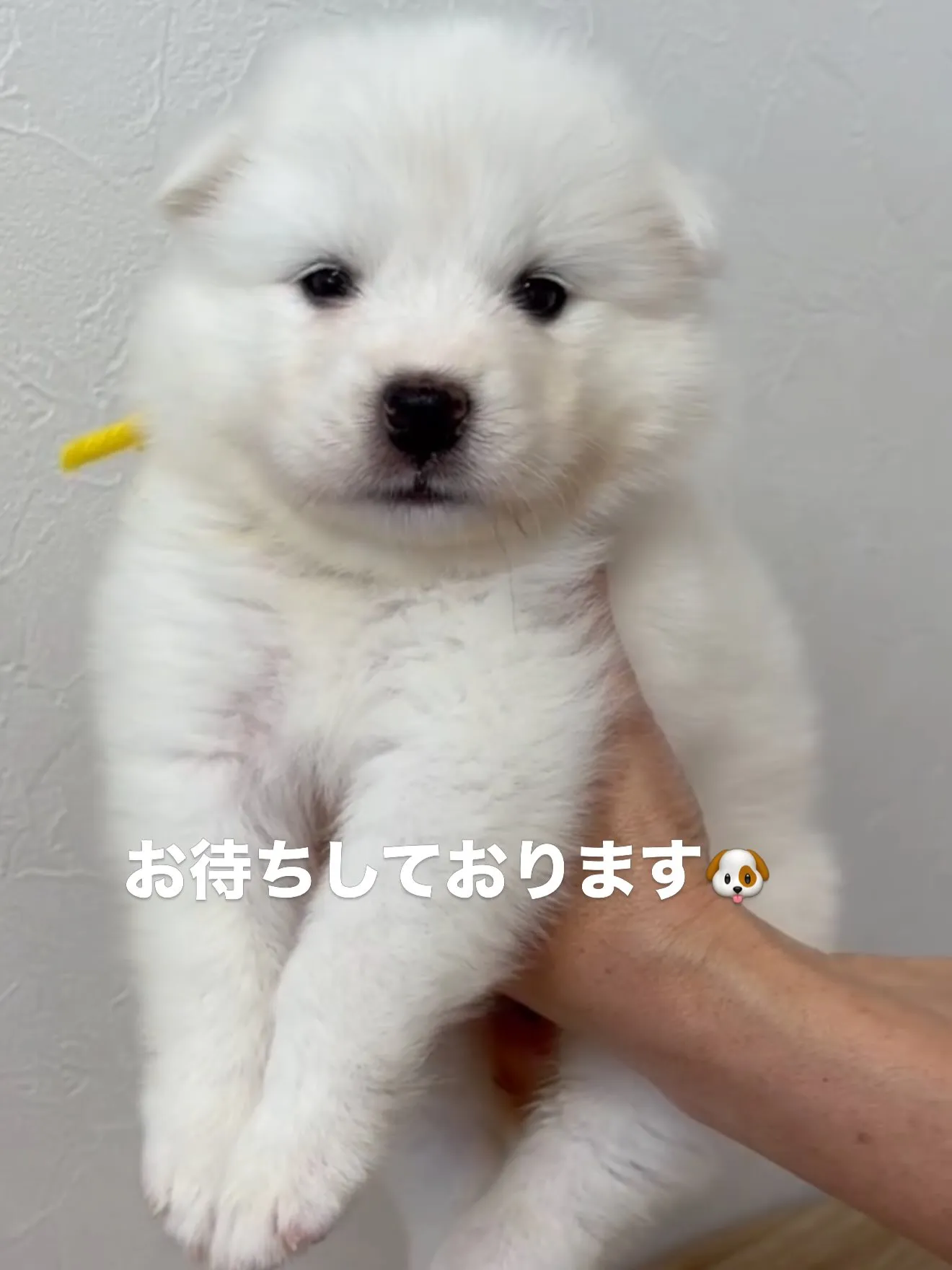 本日も一日、お疲れ様でした🌃⭐️