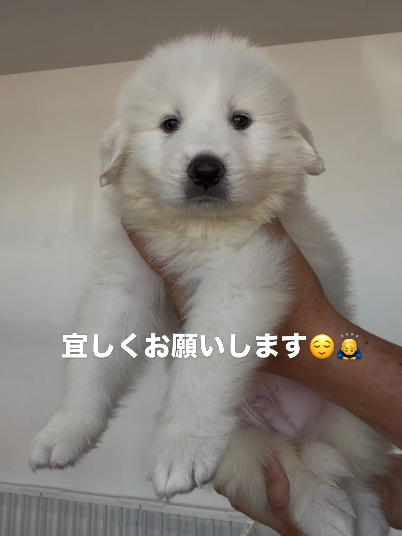 本日も一日、お疲れ様でした🌃⭐️