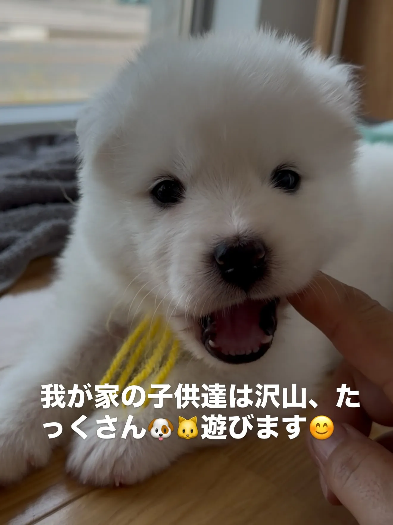 皆んなが大切な家族です🏠　スタッフ皆んなで、触れ合い、